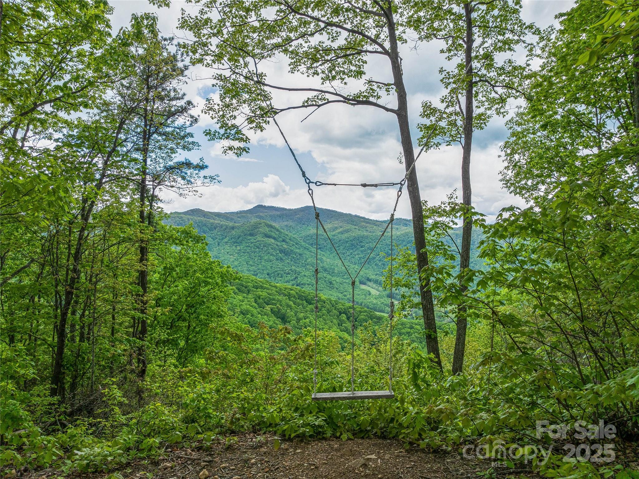 59 Pisgah Mountain Trail Property Photo 3