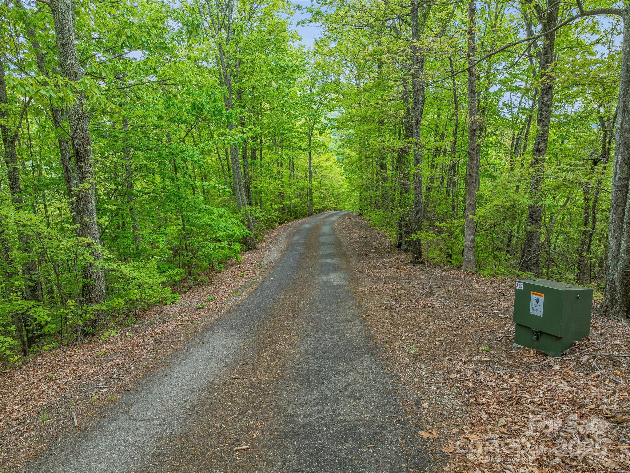 59 Pisgah Mountain Trail Property Photo 4