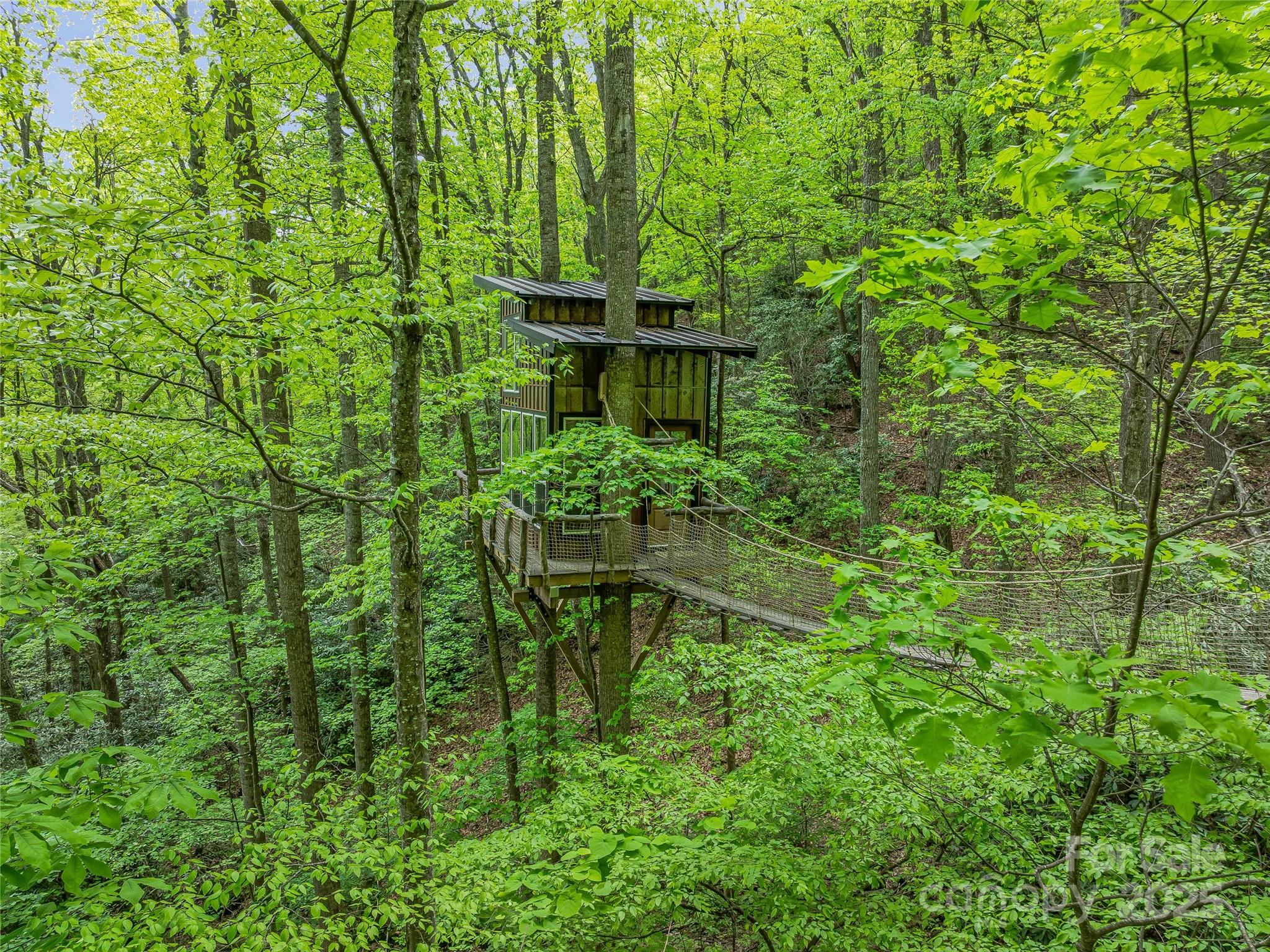 59 Pisgah Mountain Trail Property Photo 5