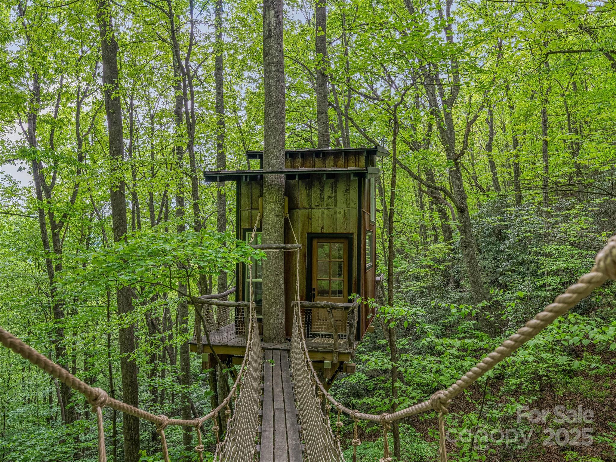 59 Pisgah Mountain Trail Property Photo 6