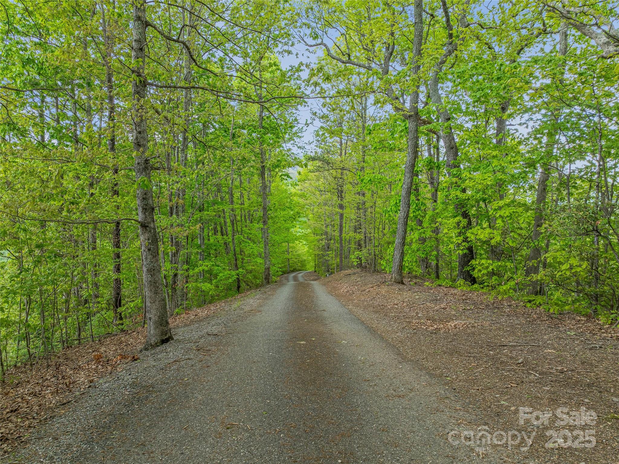 59 Pisgah Mountain Trail Property Photo 10