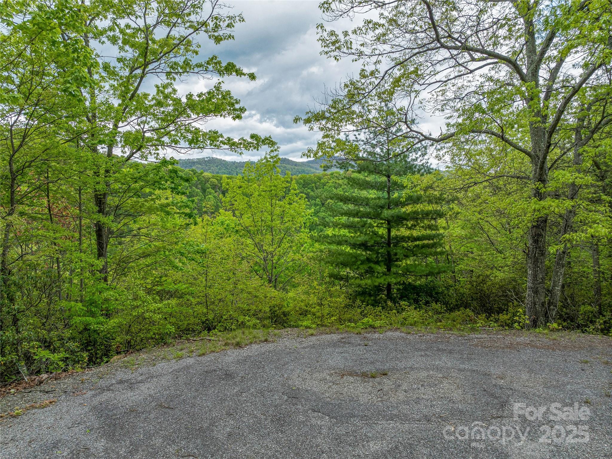59 Pisgah Mountain Trail Property Photo 11