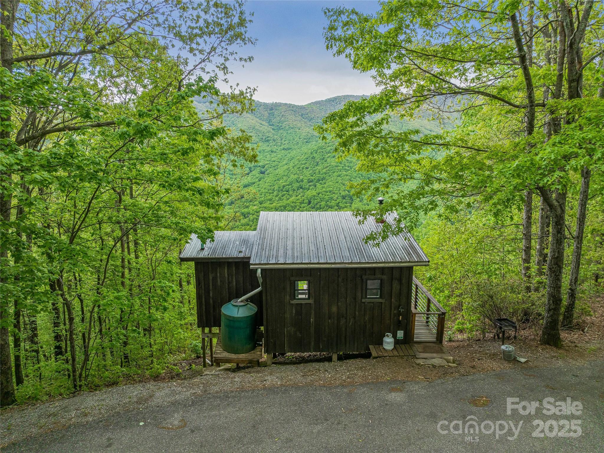 59 Pisgah Mountain Trail Property Photo 13