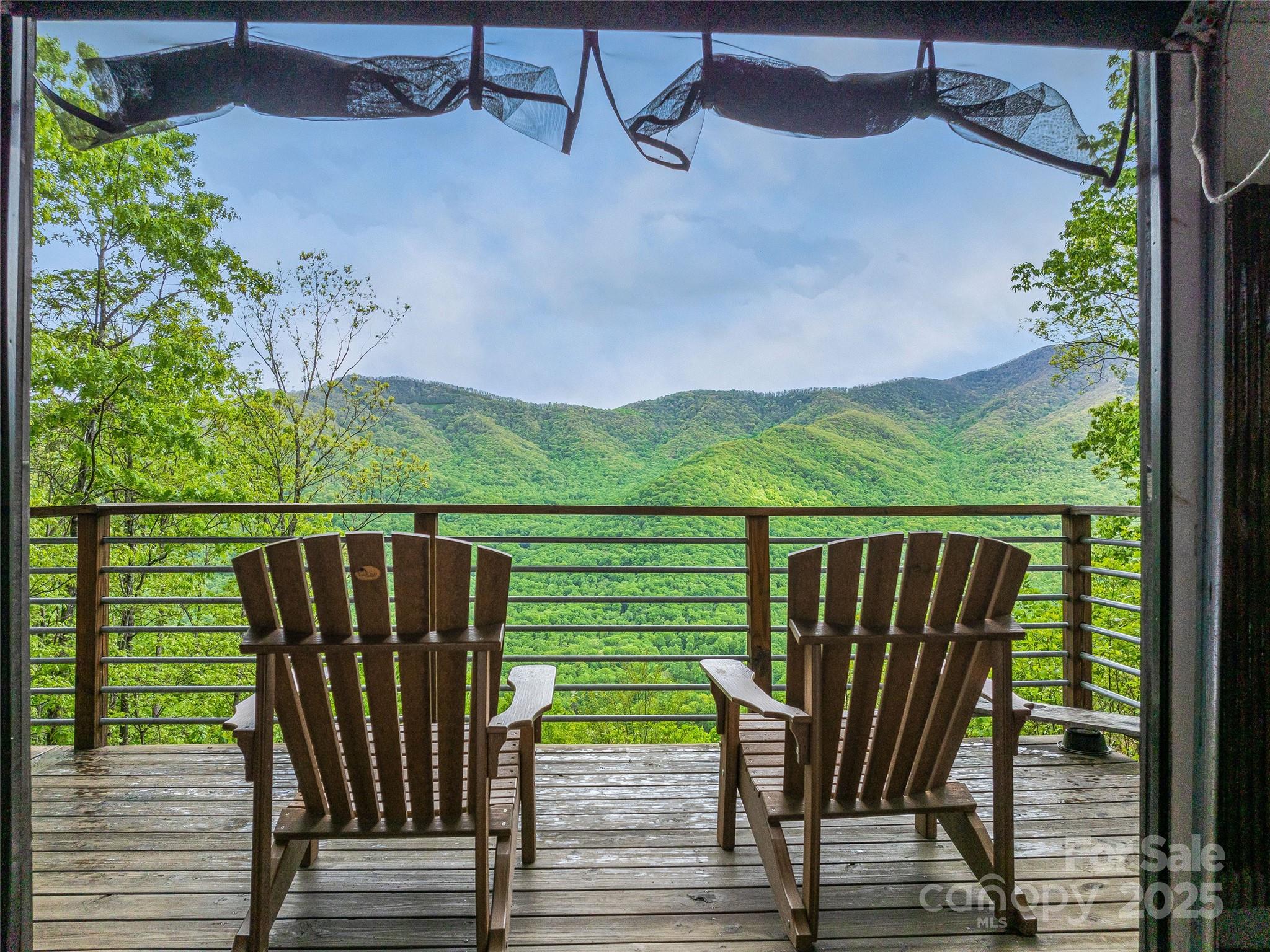 59 Pisgah Mountain Trail Property Photo 14