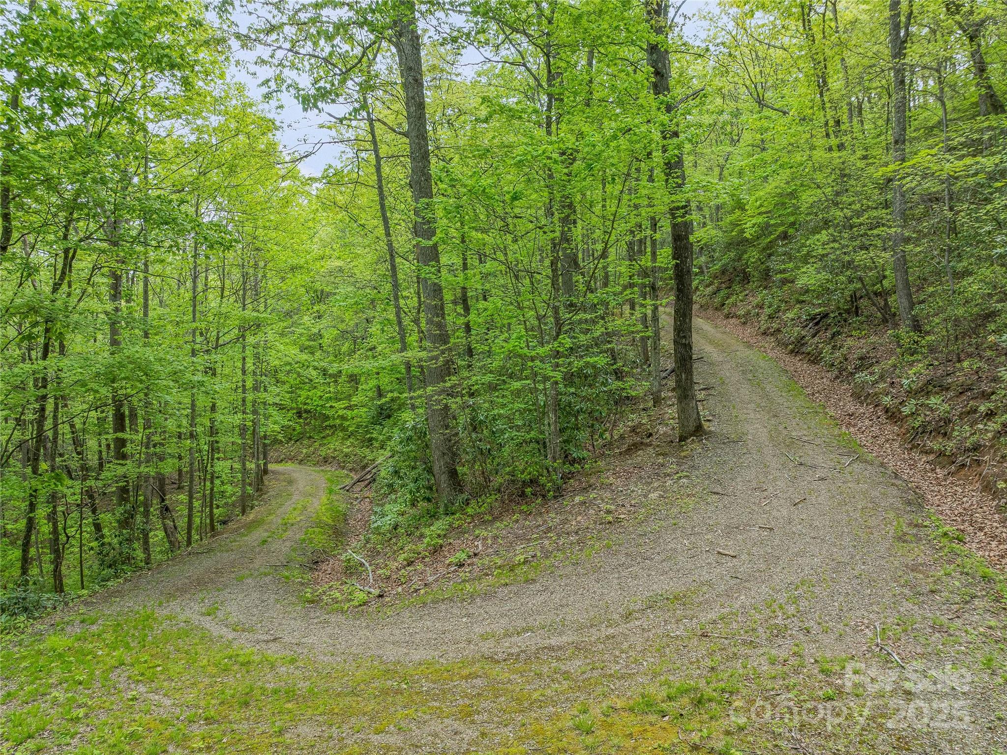 59 Pisgah Mountain Trail Property Photo 18