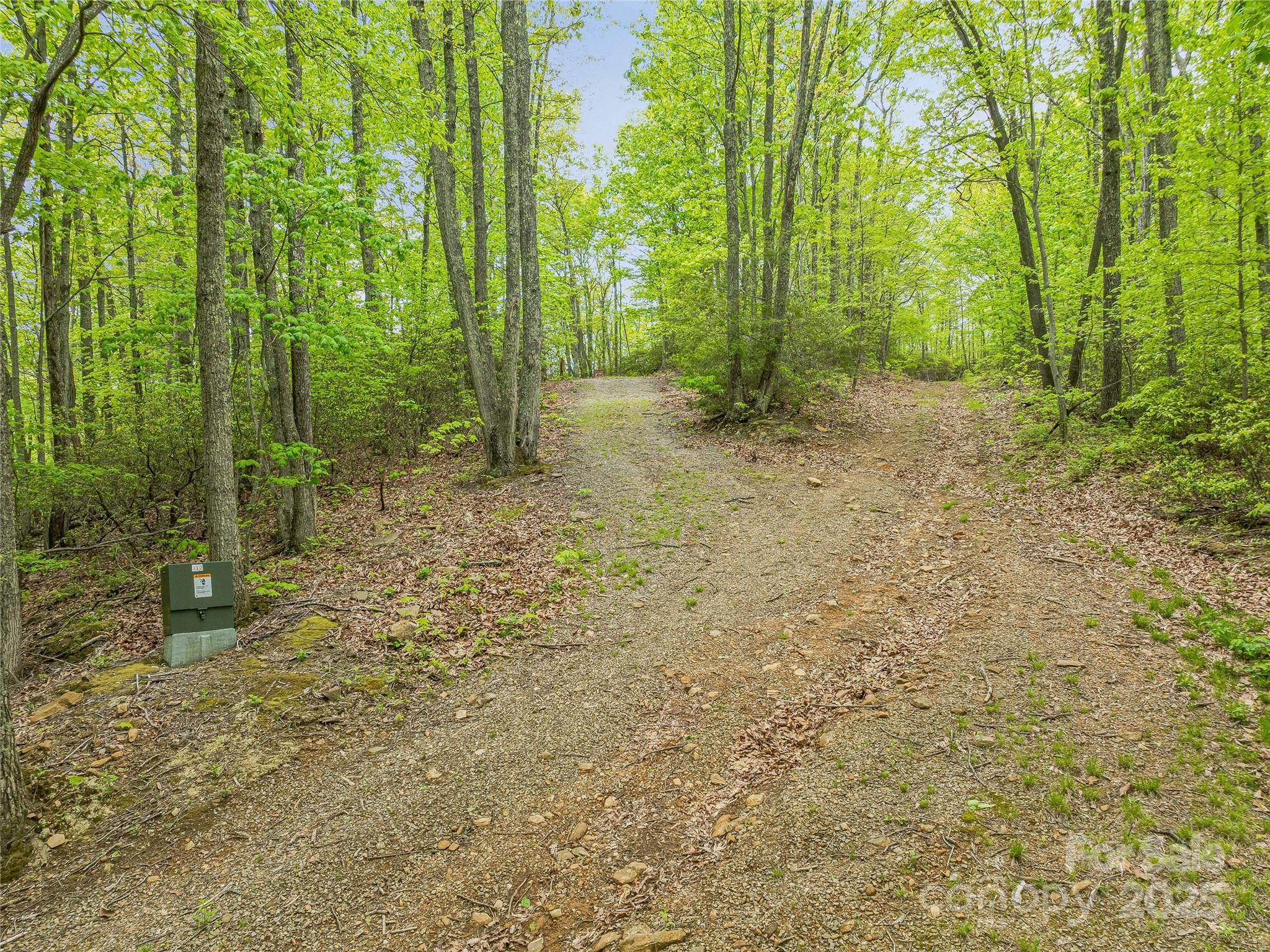 59 Pisgah Mountain Trail Property Photo 19