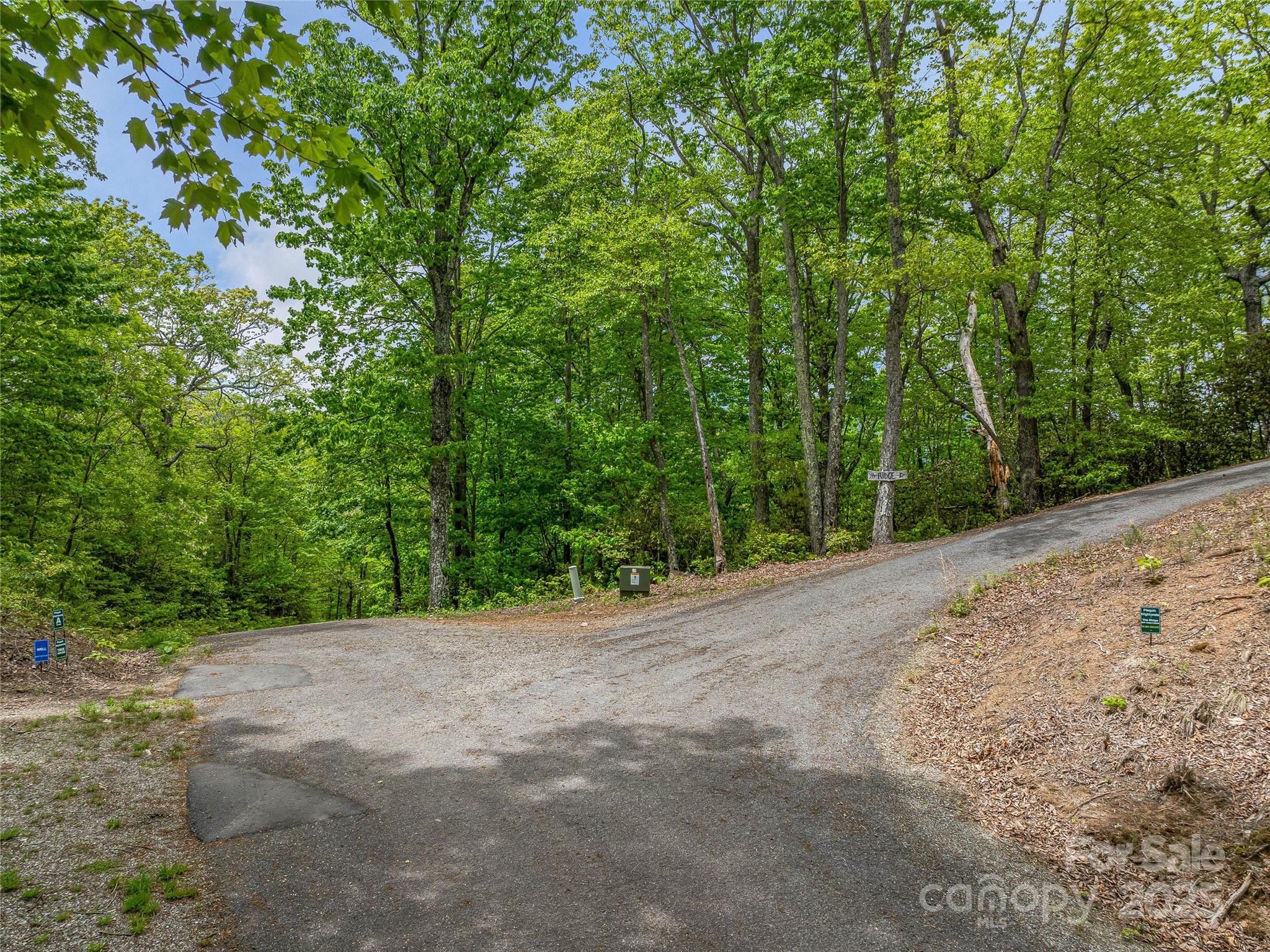 59 Pisgah Mountain Trail Property Photo 25