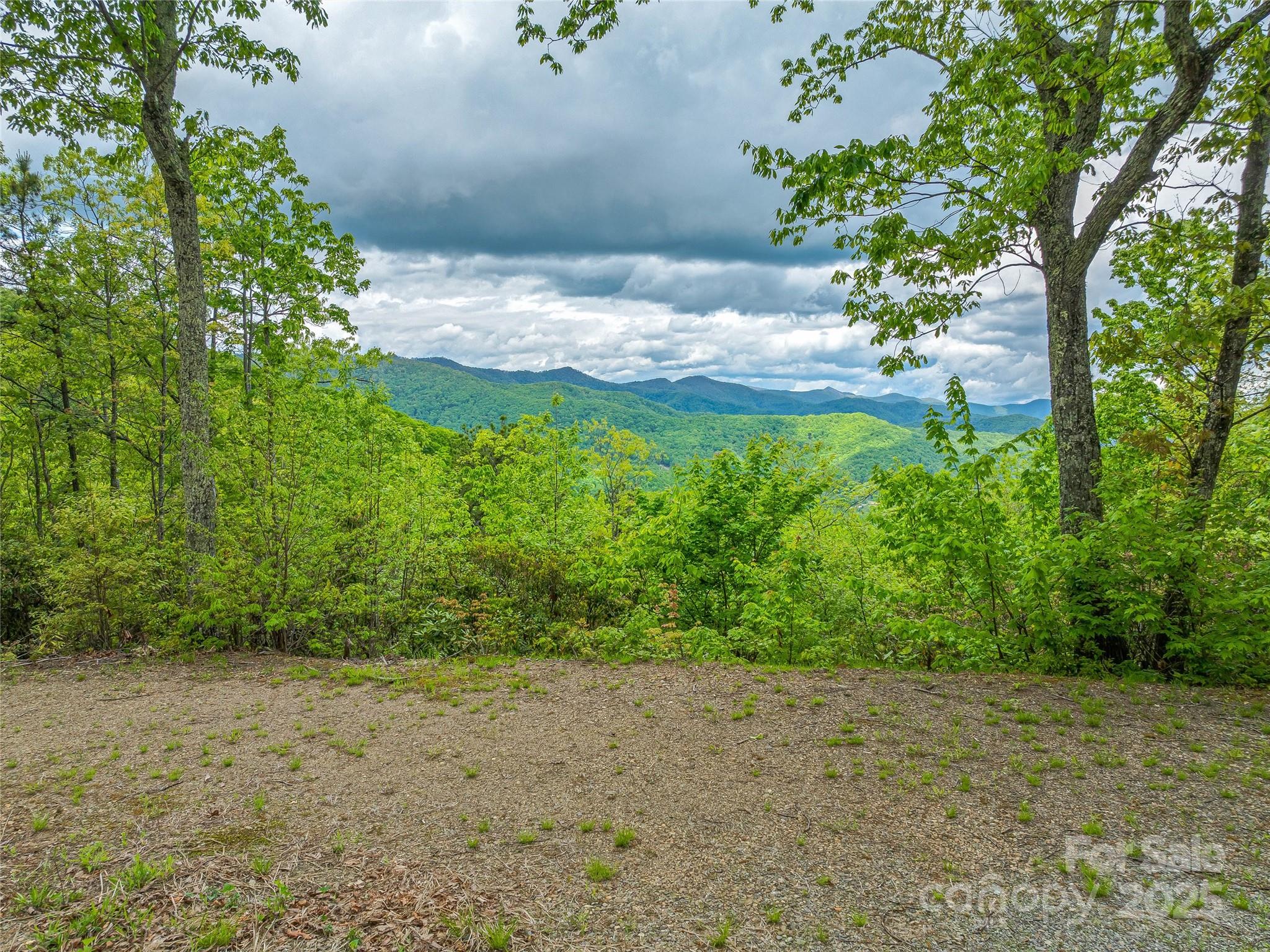 59 Pisgah Mountain Trail Property Photo 26