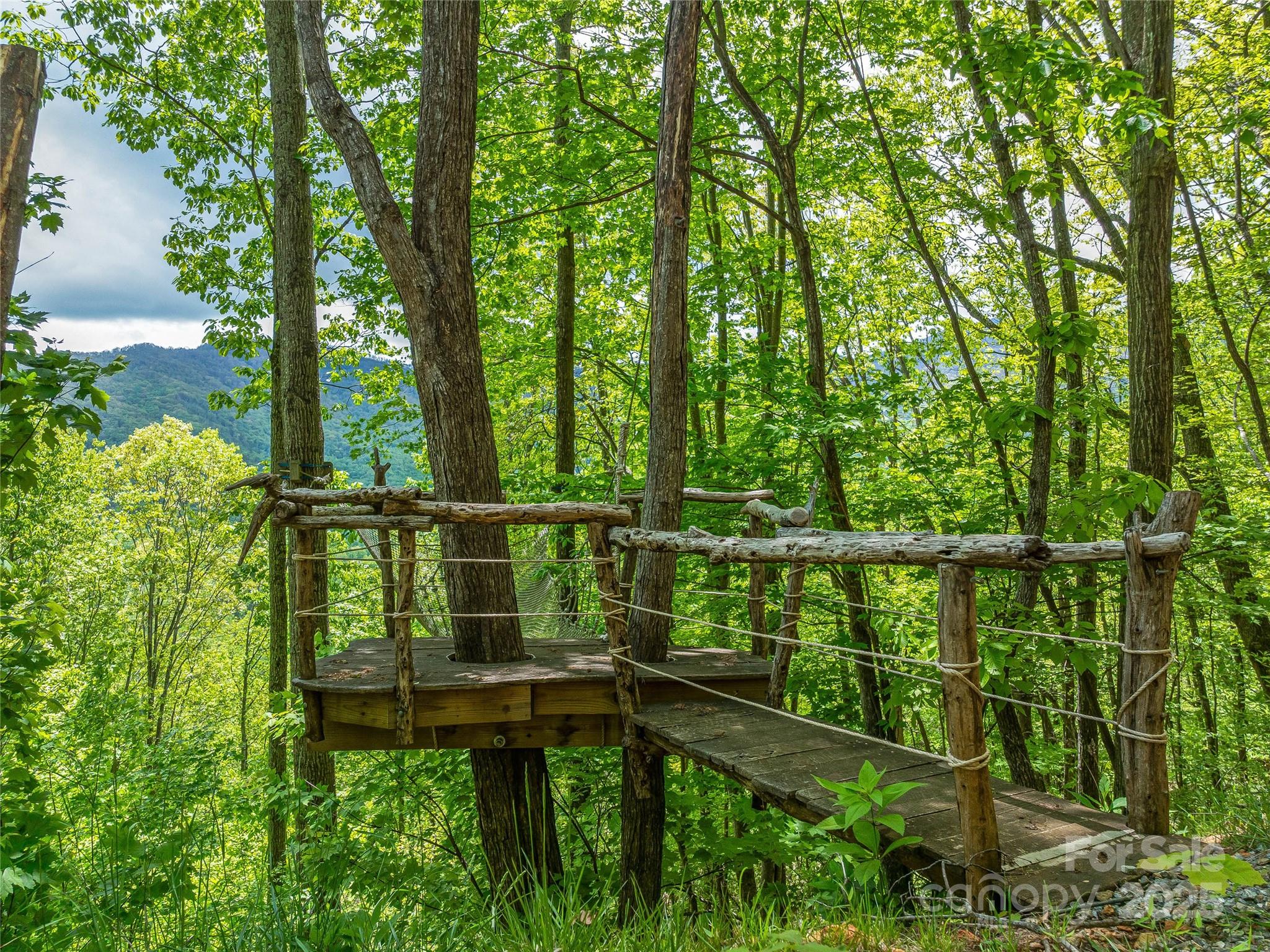 59 Pisgah Mountain Trail Property Photo 27