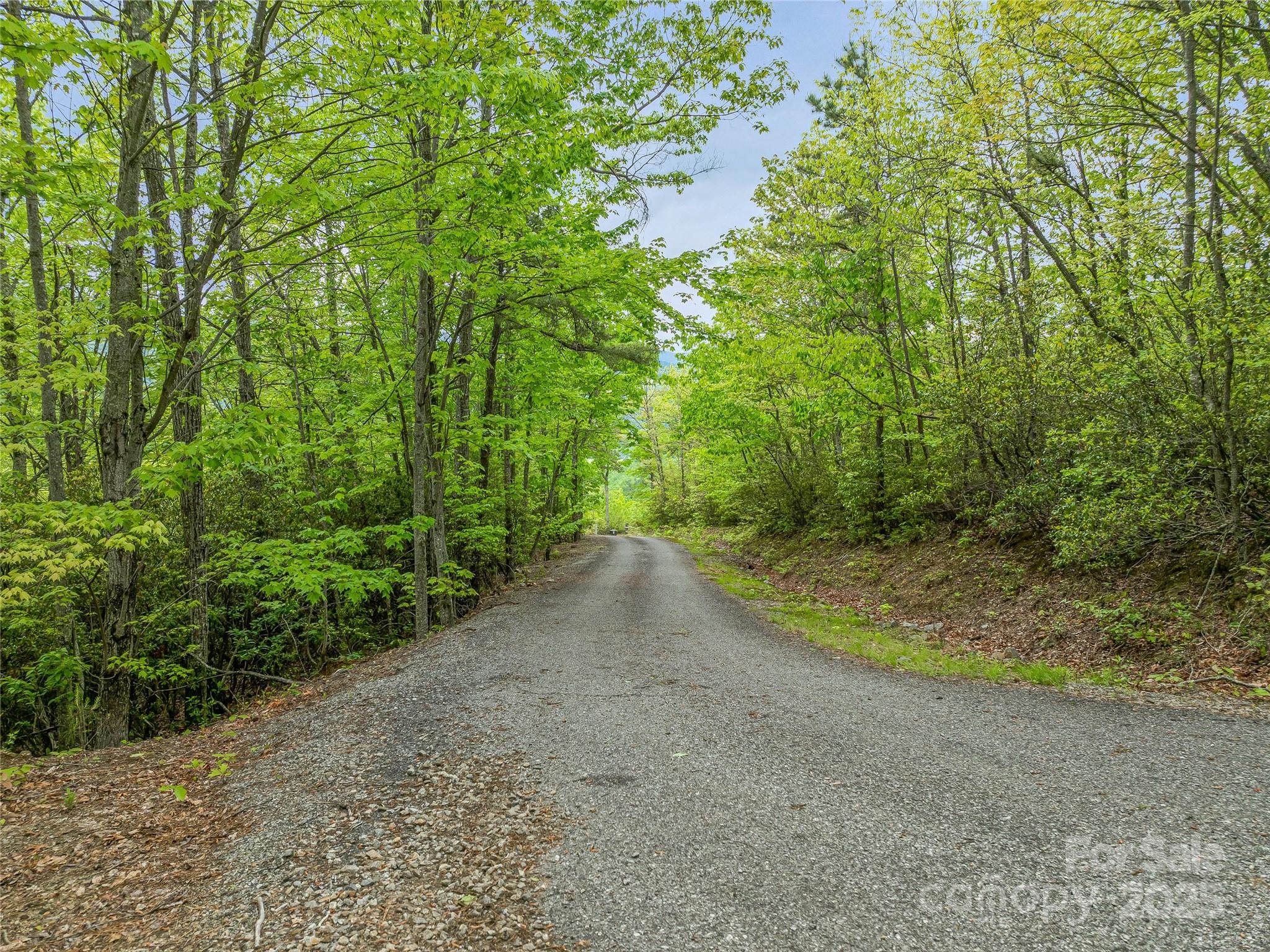59 Pisgah Mountain Trail Property Photo 28