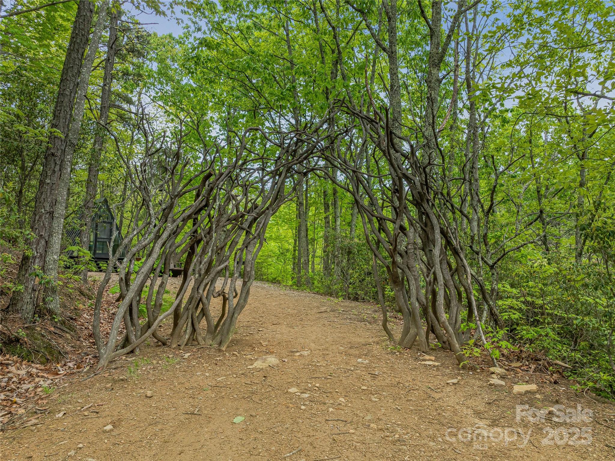 59 Pisgah Mountain Trail Property Photo 30