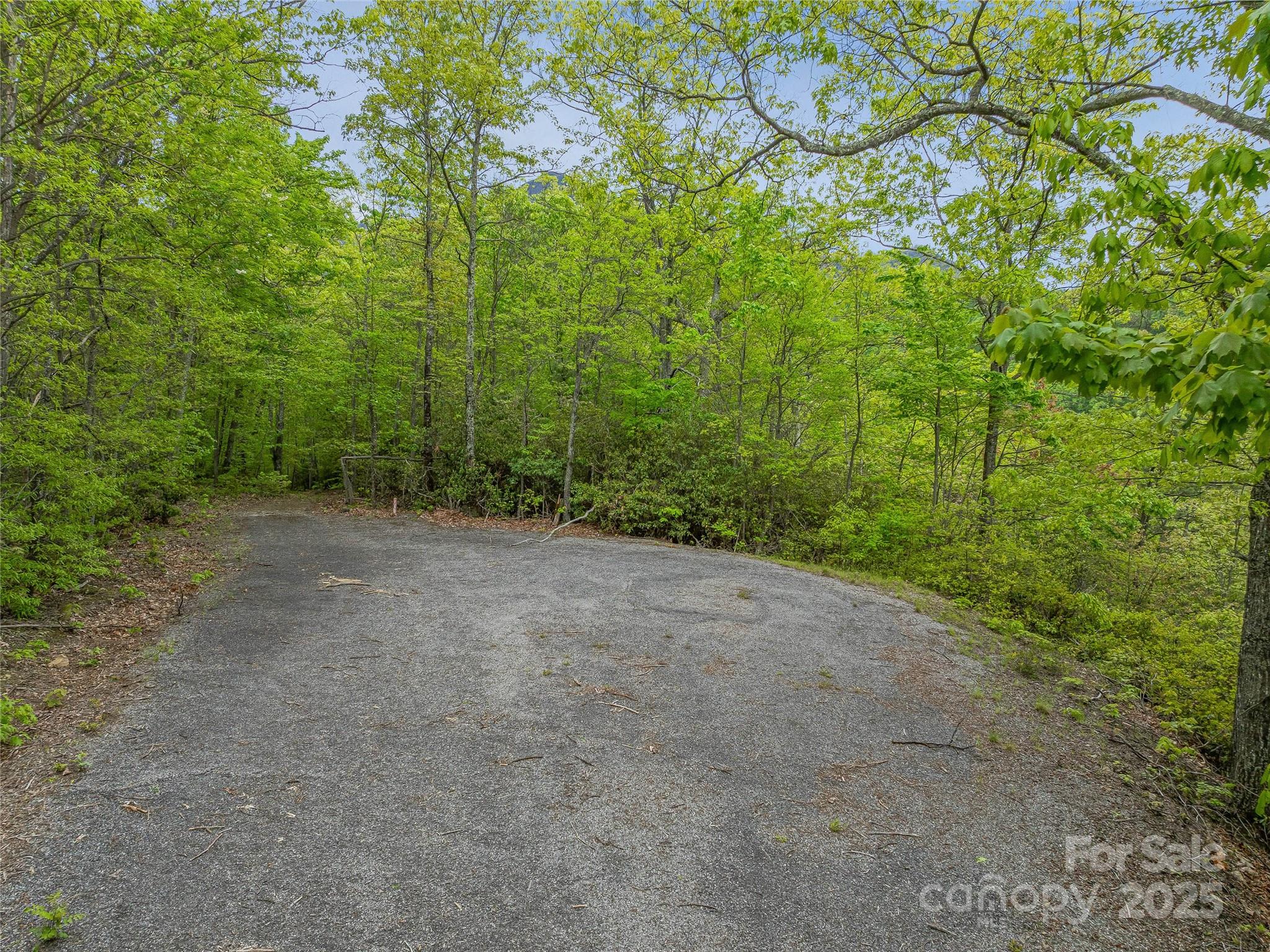 59 Pisgah Mountain Trail Property Photo 33