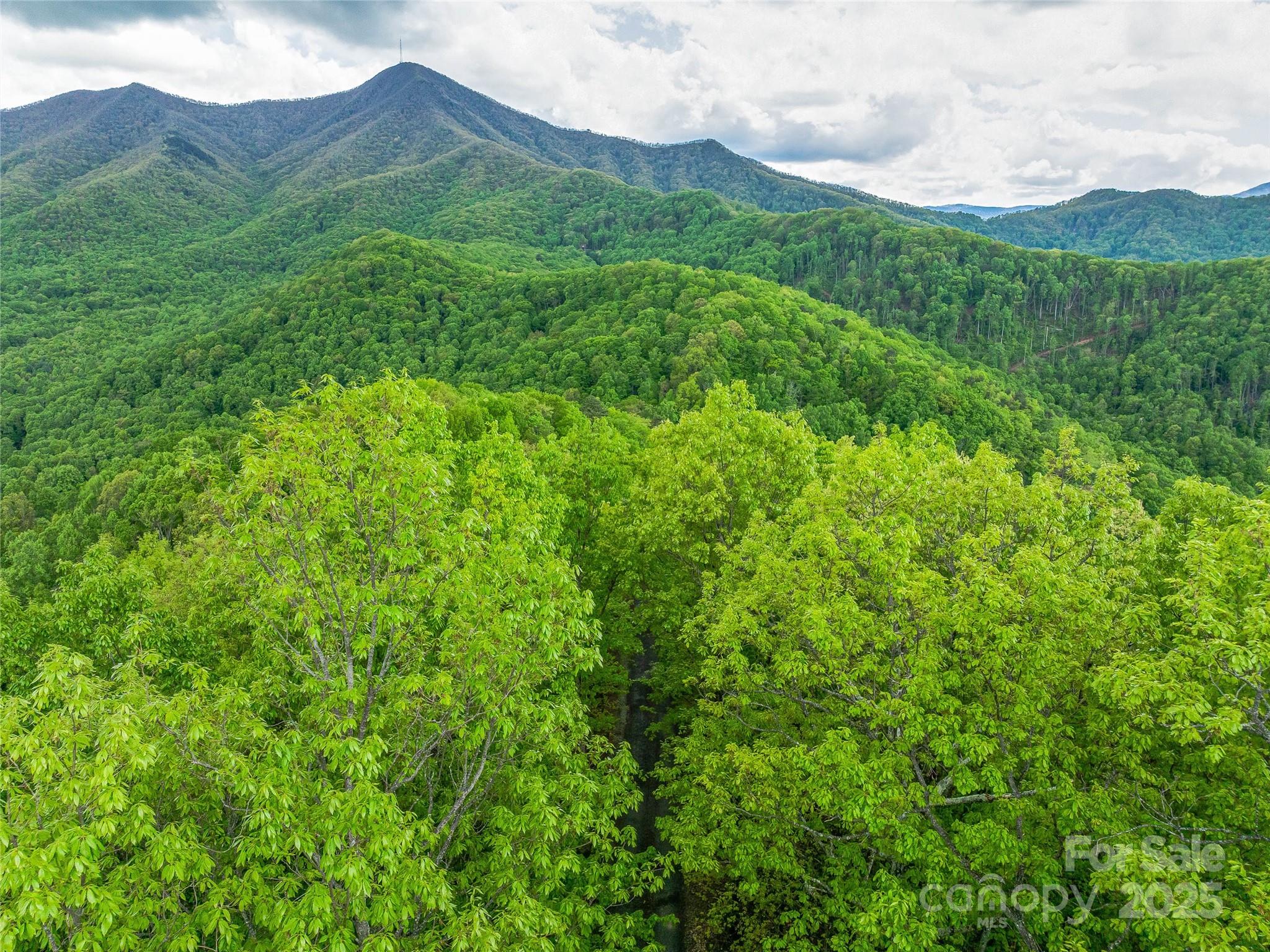 59 Pisgah Mountain Trail Property Photo 35
