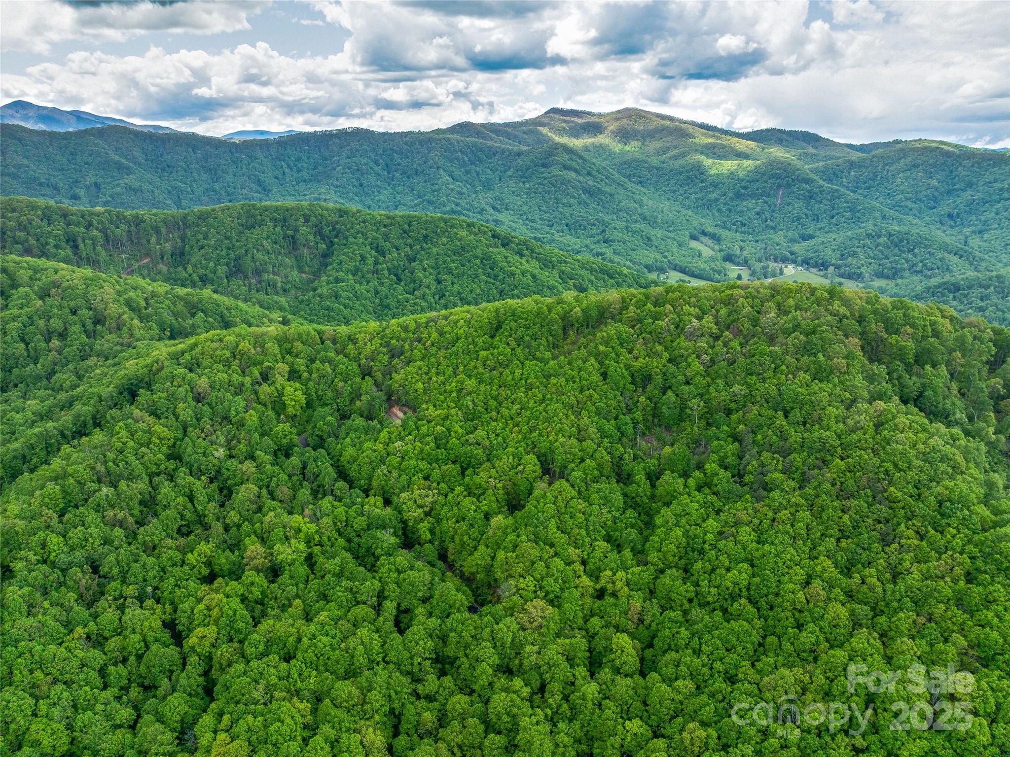 59 Pisgah Mountain Trail Property Photo 37