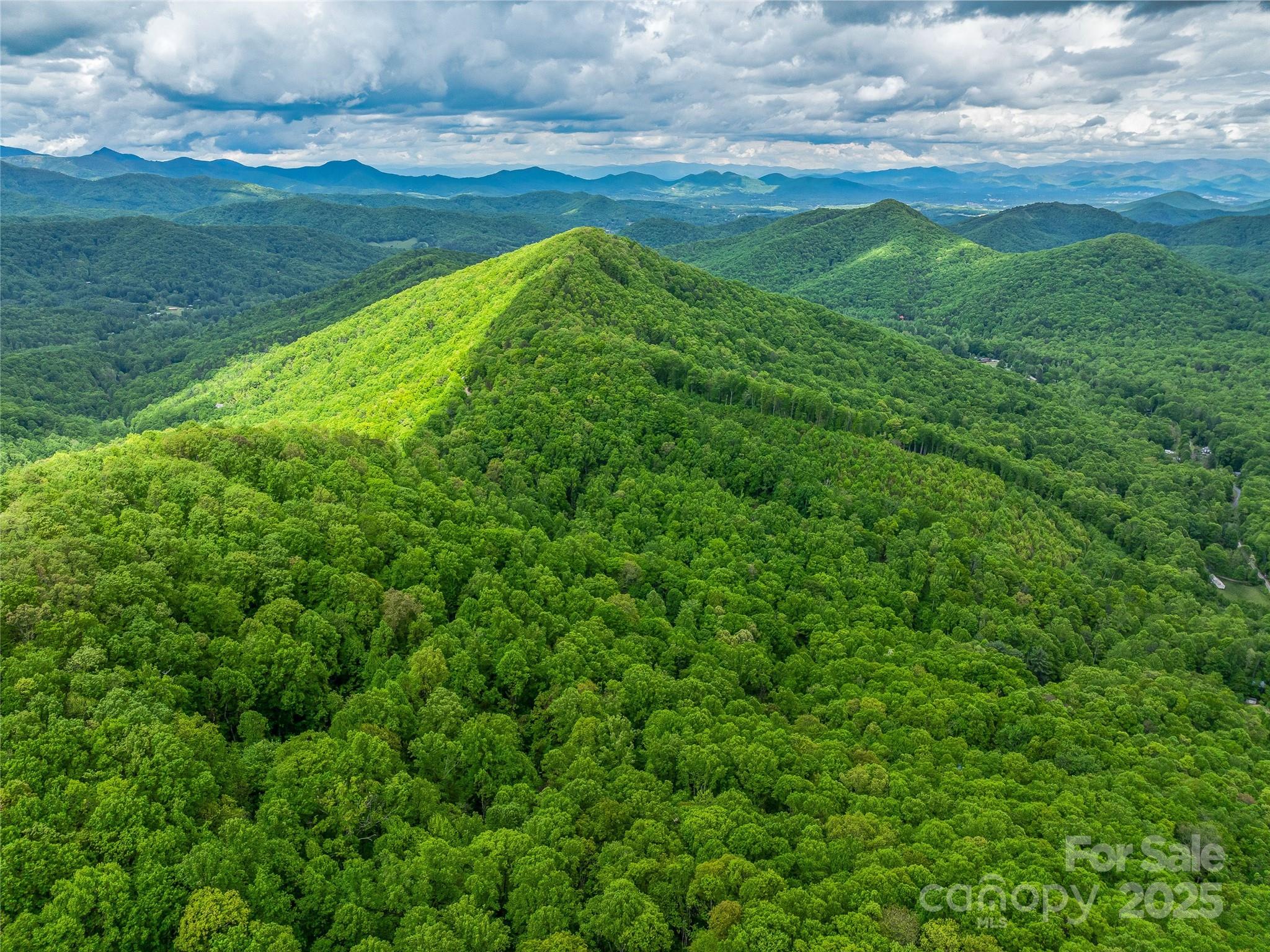 59 Pisgah Mountain Trail Property Photo 38