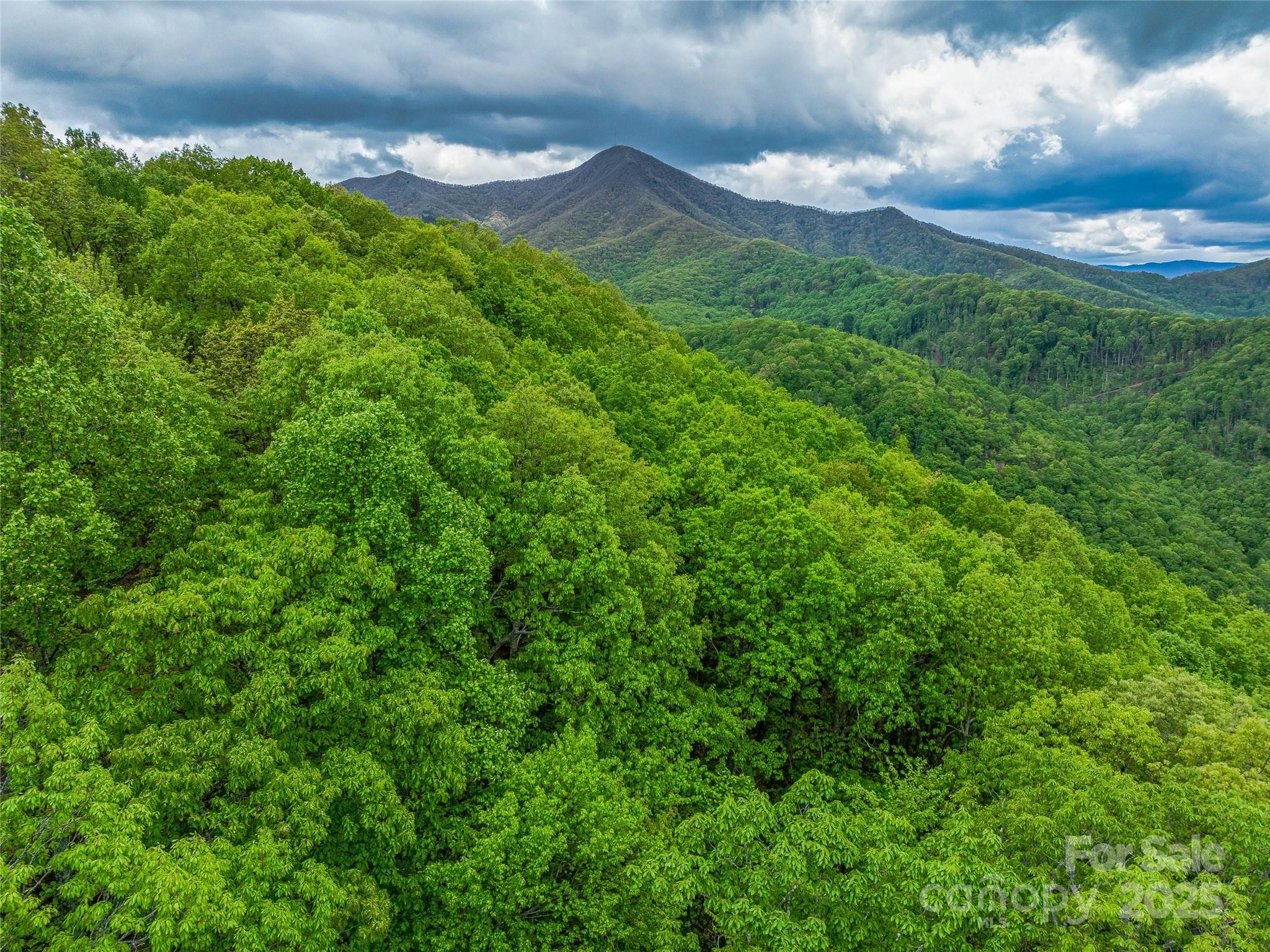 59 Pisgah Mountain Trail Property Photo 39