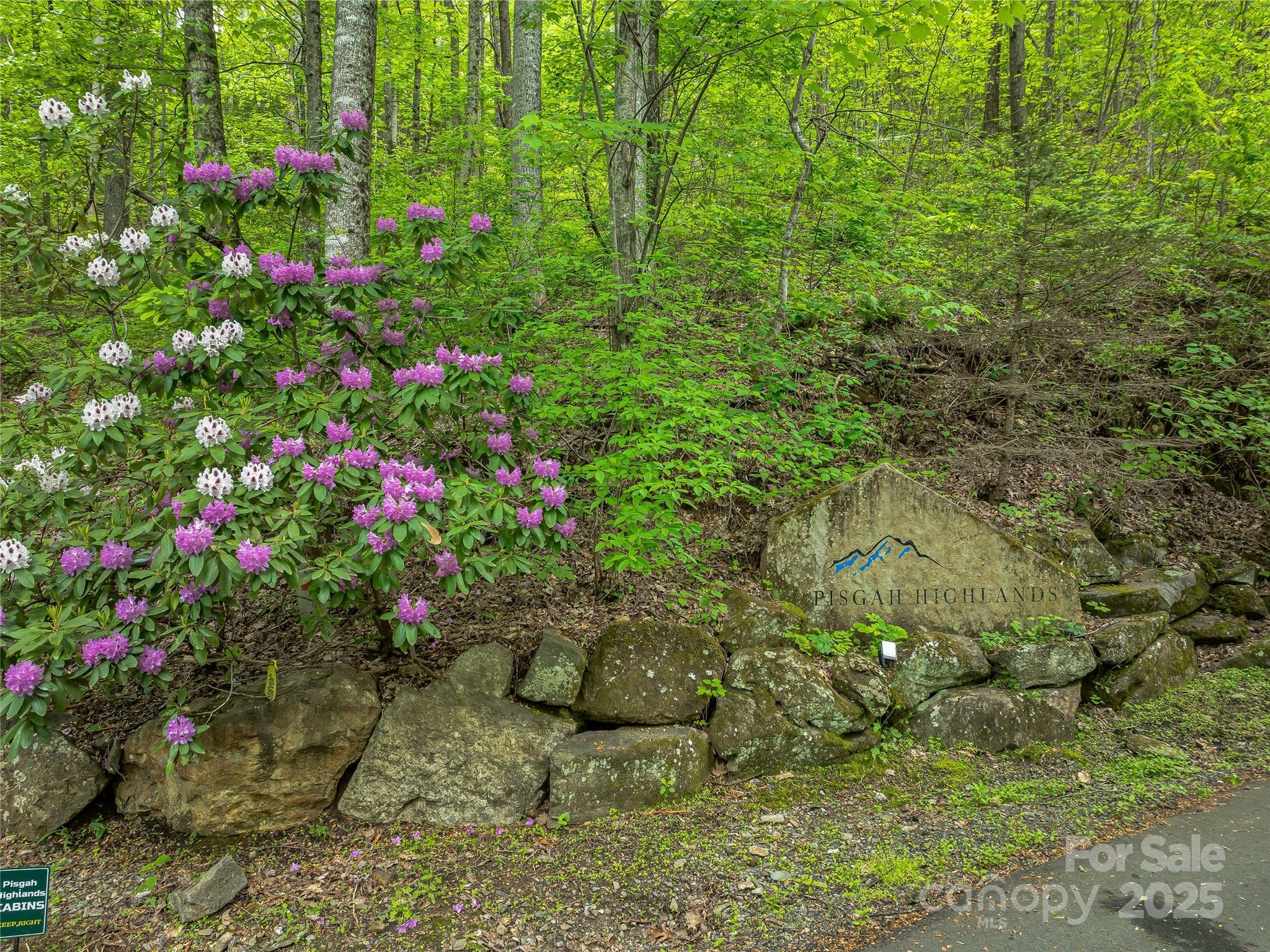 59 Pisgah Mountain Trail Property Photo 40
