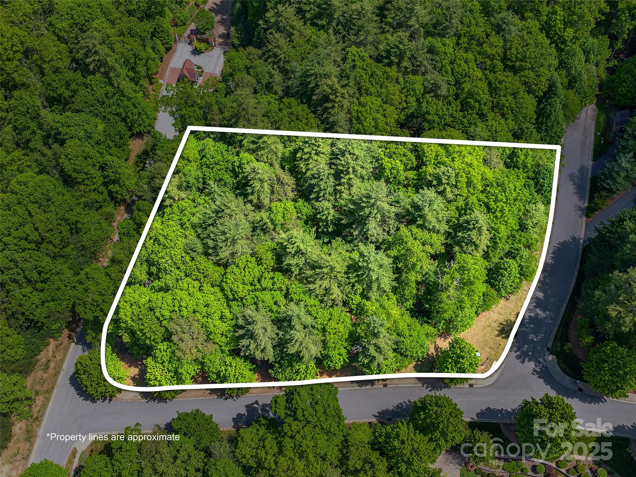 404 Coopers Hawk Drive Property Photo 1