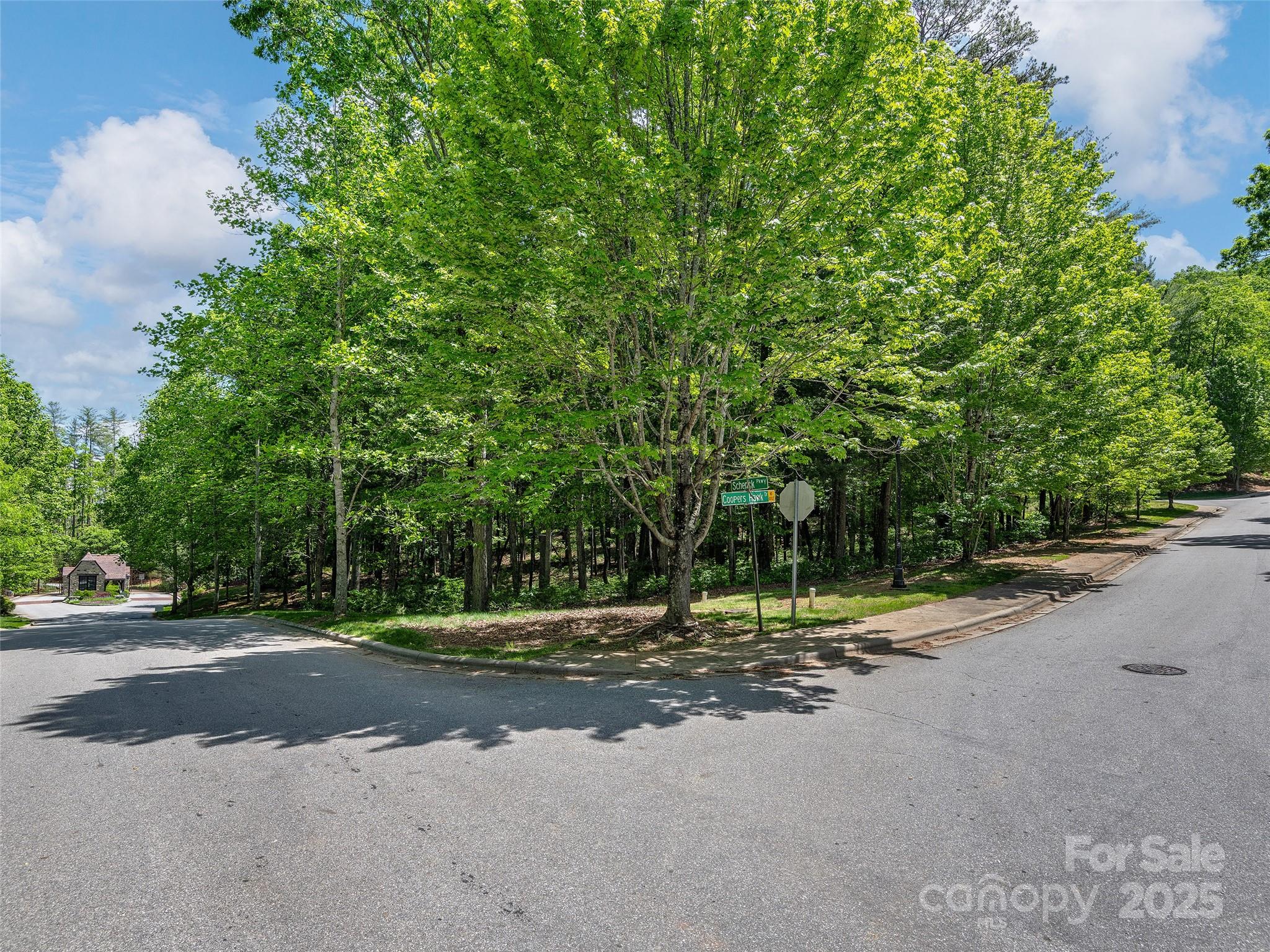 404 Coopers Hawk Drive Property Photo 3