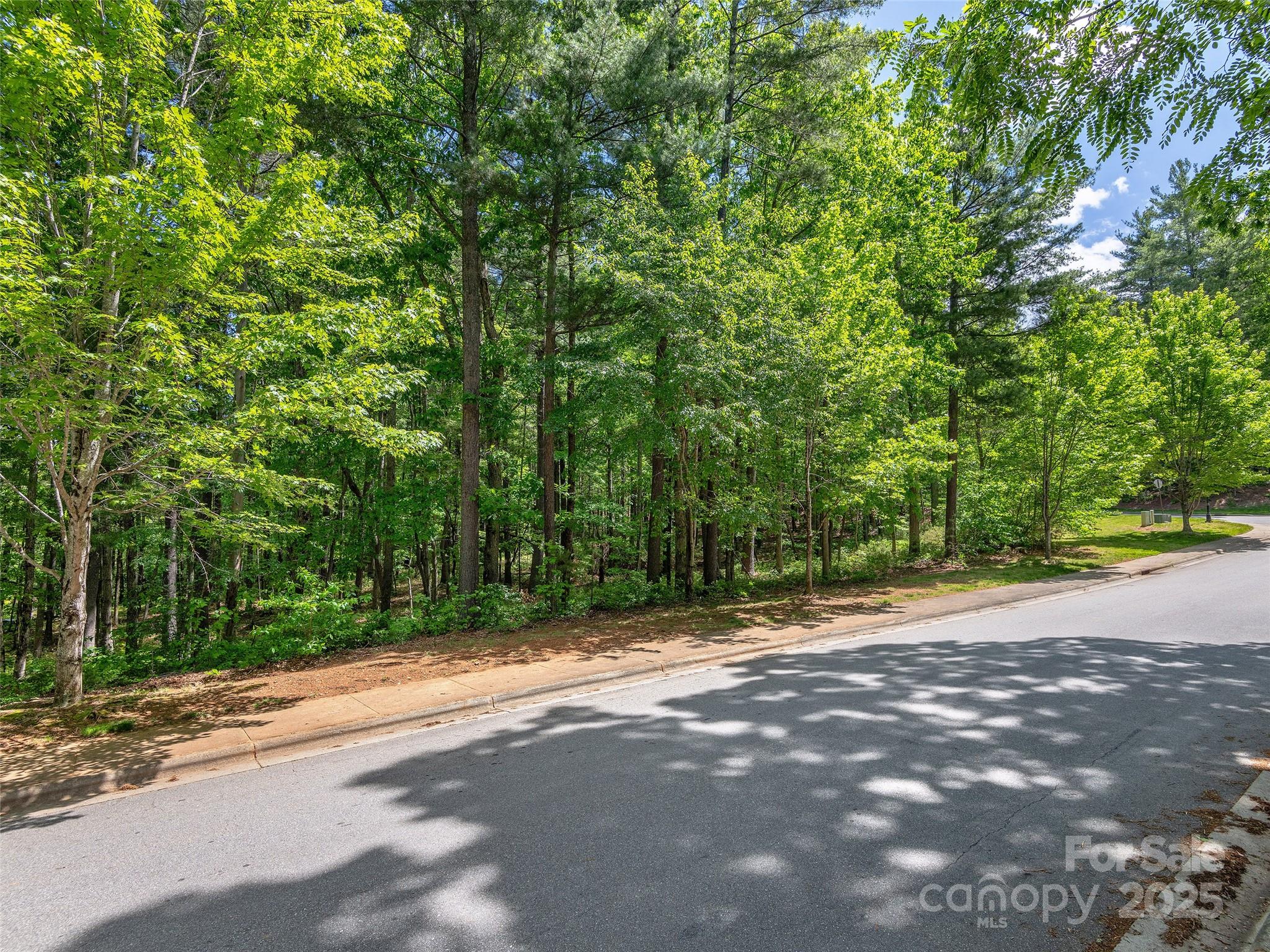 404 Coopers Hawk Drive Property Photo 4