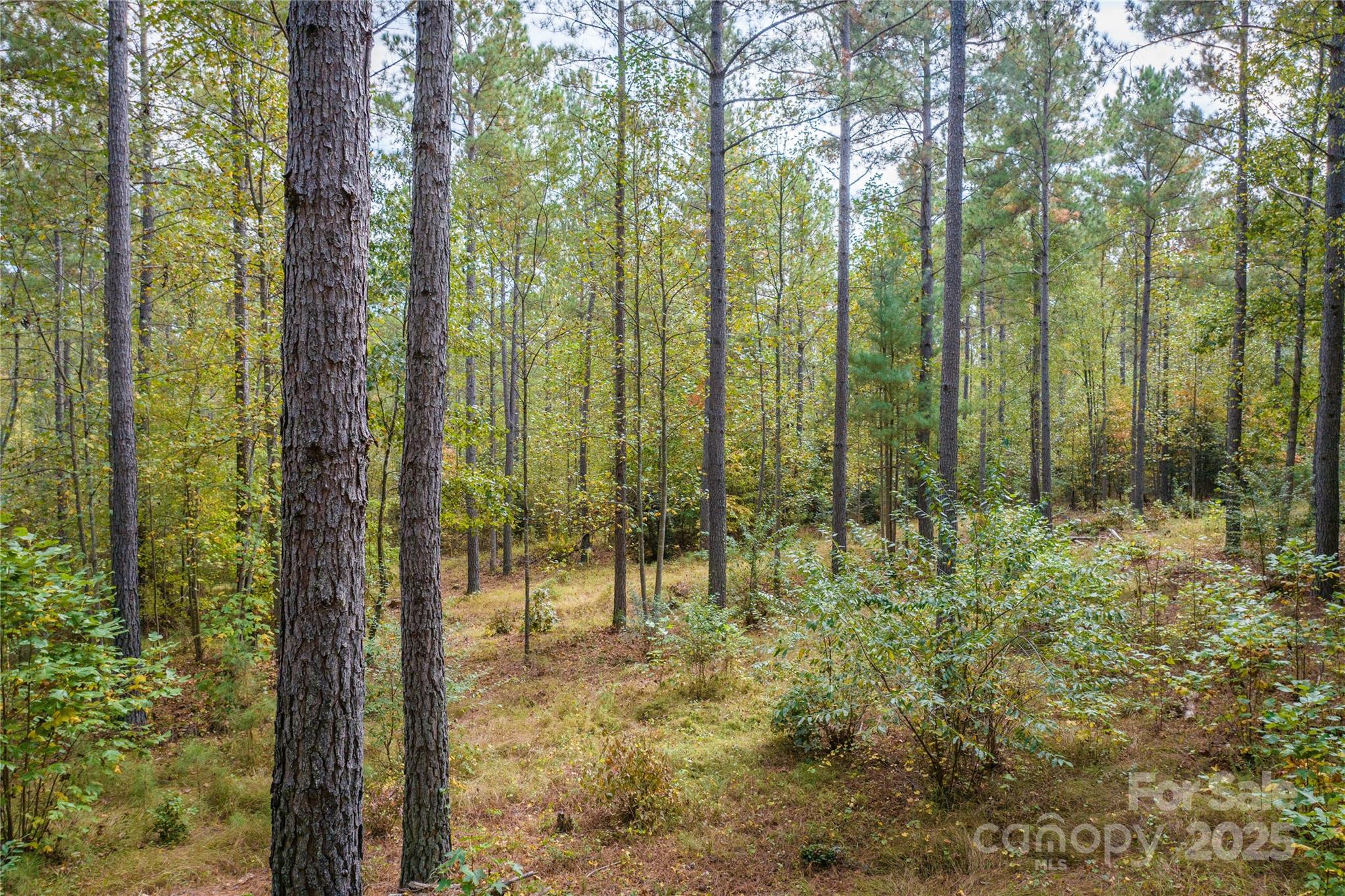 2881 Connelly Springs Road Property Photo 4