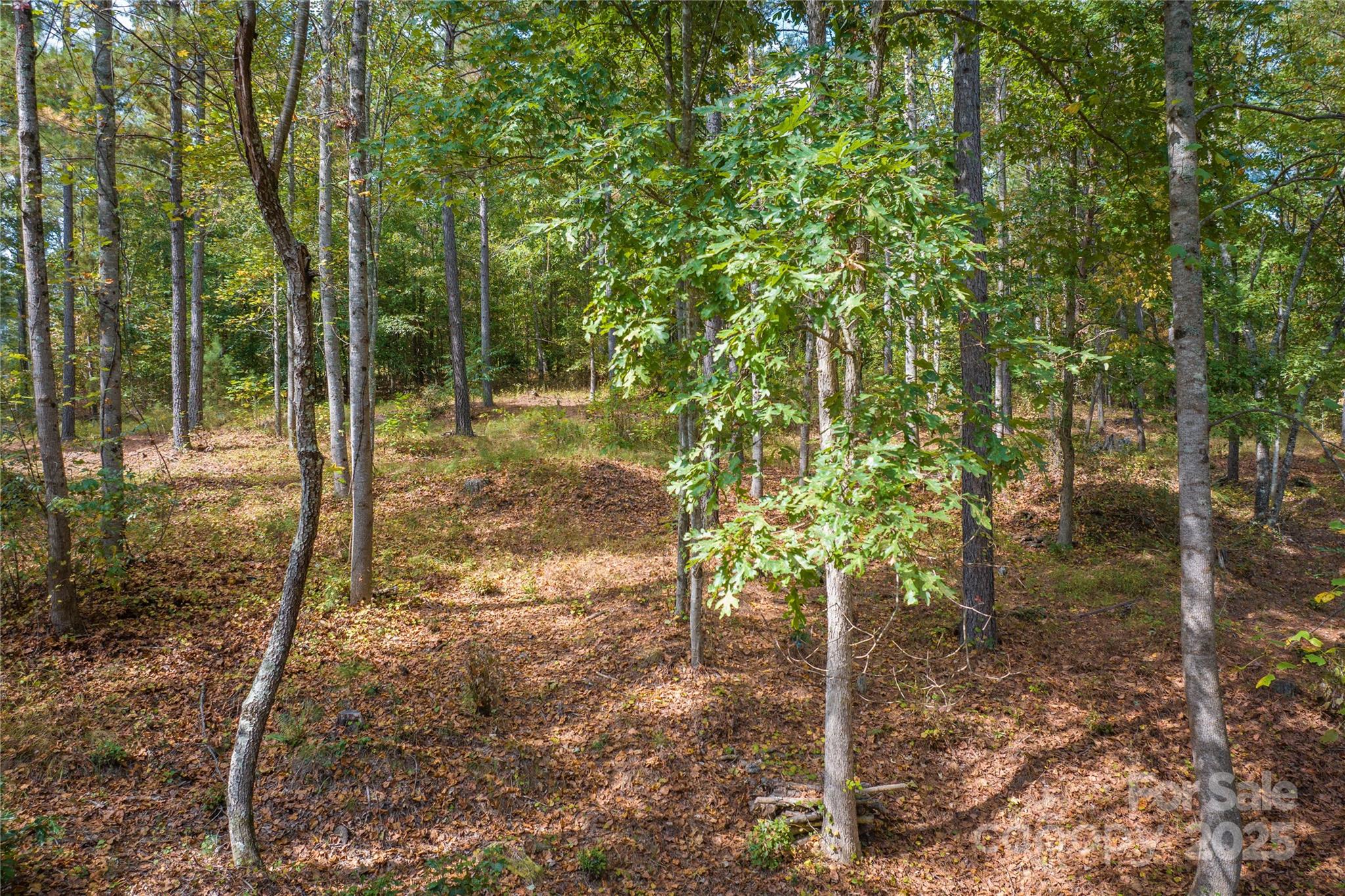 2881 Connelly Springs Road Property Photo 5