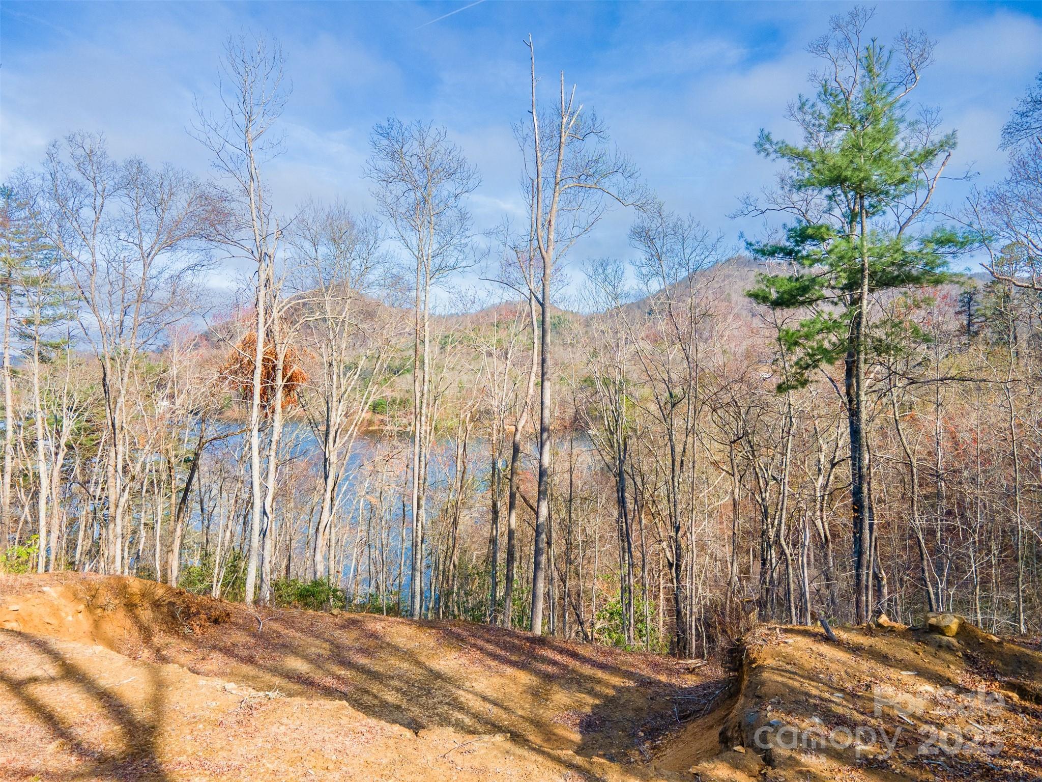 Lot 156 Mandolin Court 156 Property Photo 5