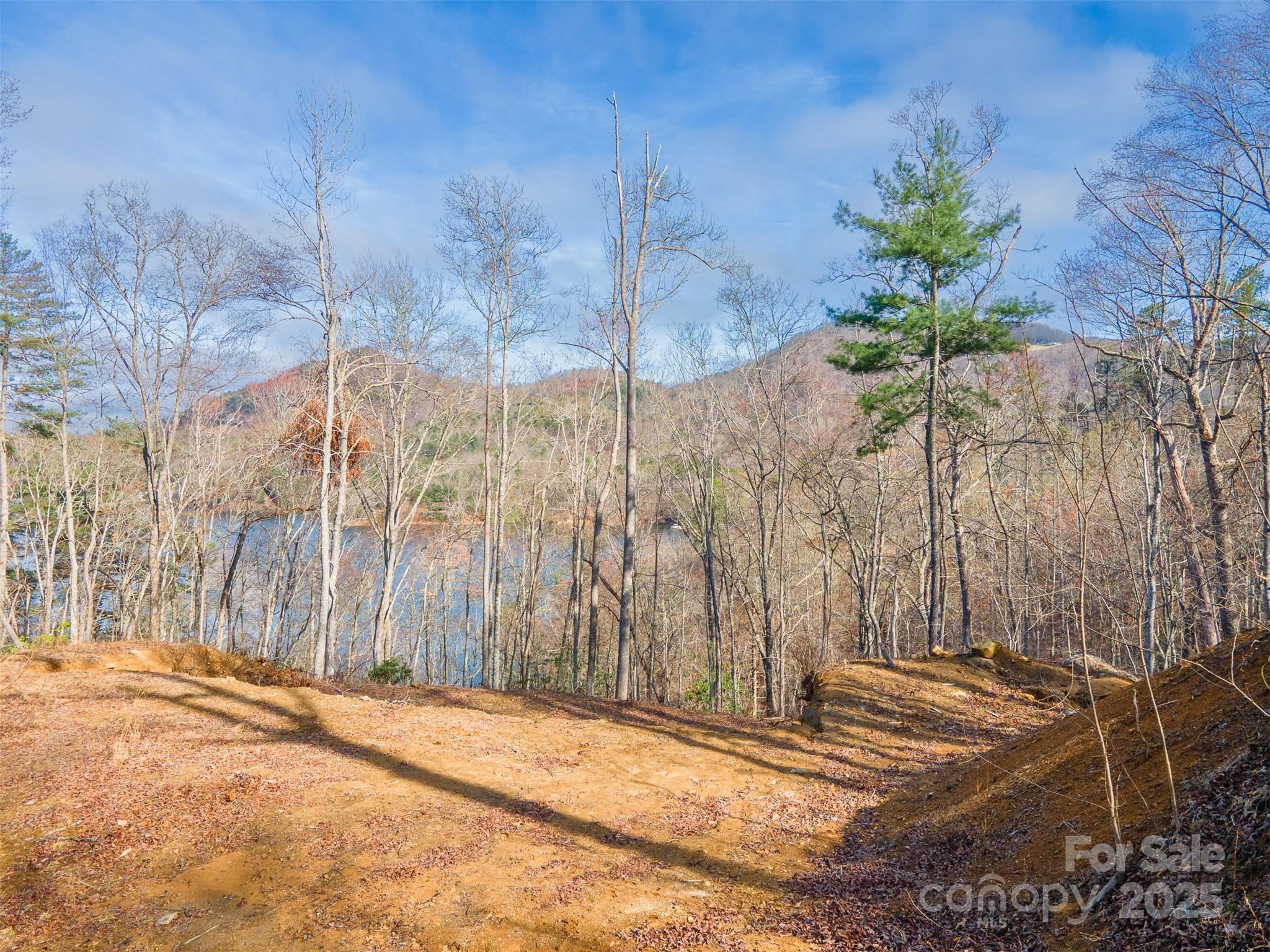 Lot 156 Mandolin Court 156 Property Photo 6