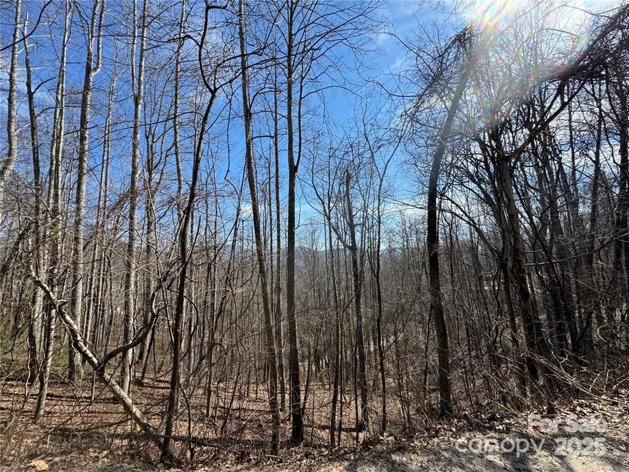 00 Windermere Woods Road 7 Property Photo
