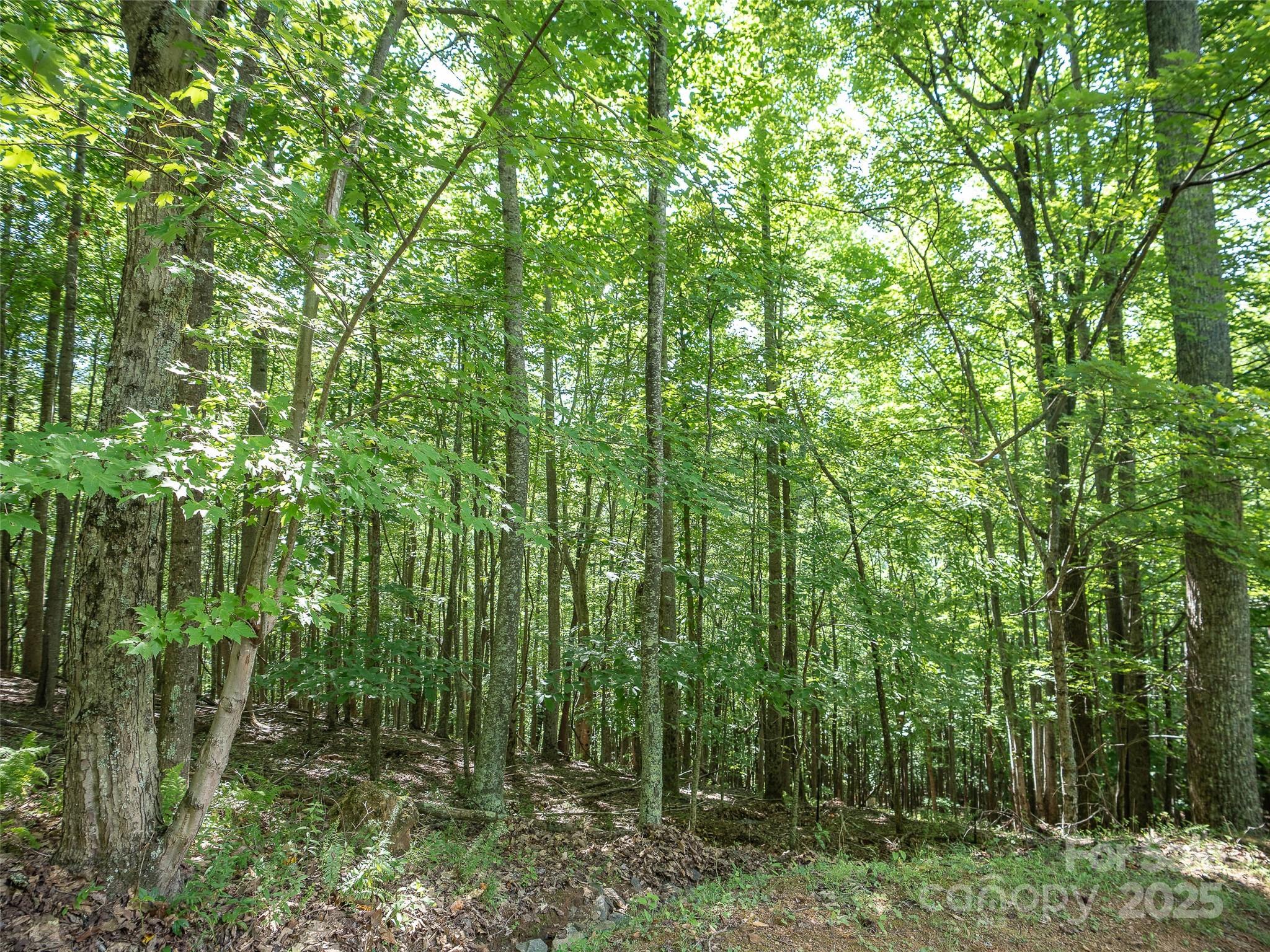 1157 Standing Deer Trace 128 Property Photo 10