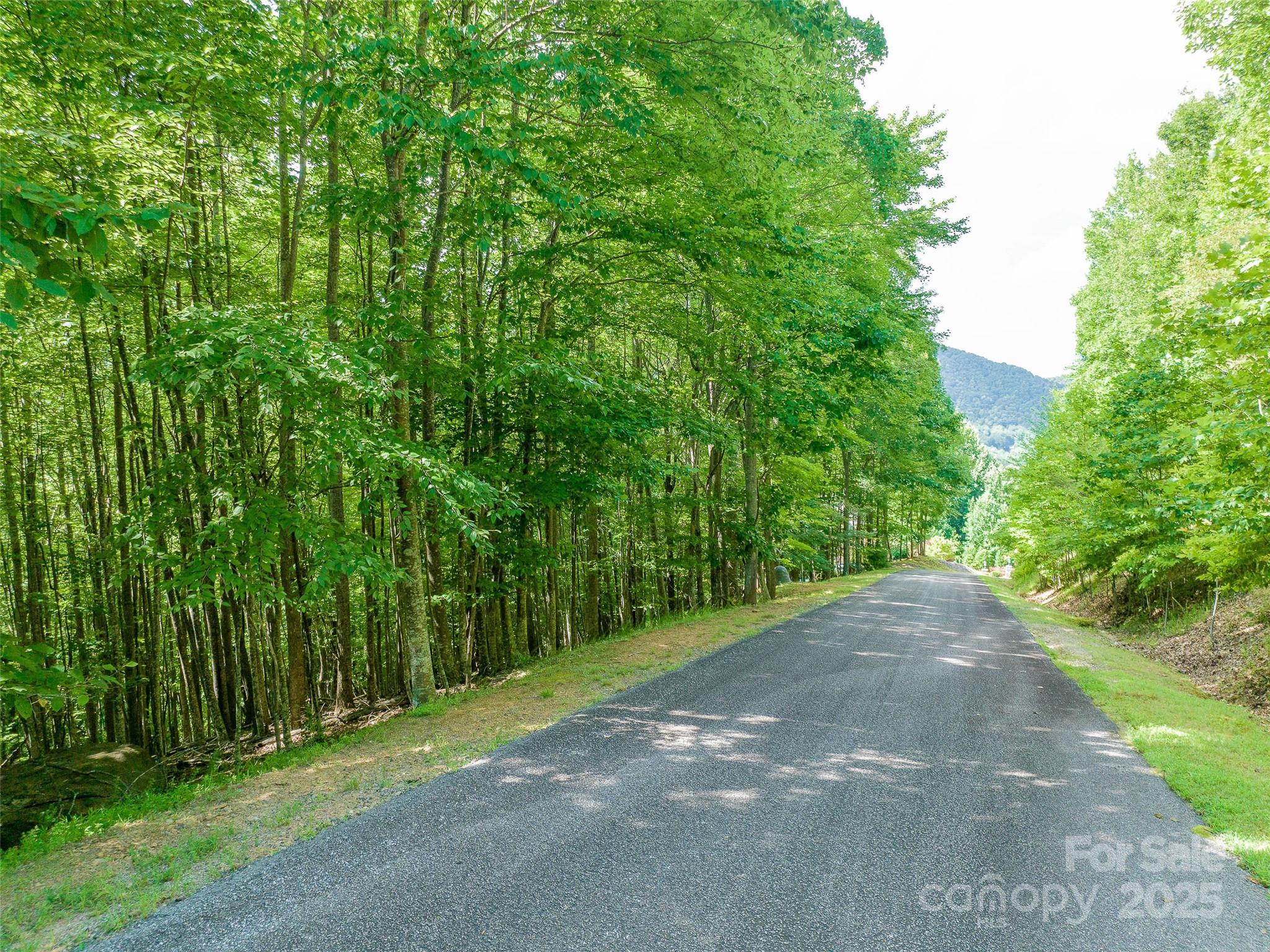 1157 Standing Deer Trace 128 Property Photo 13