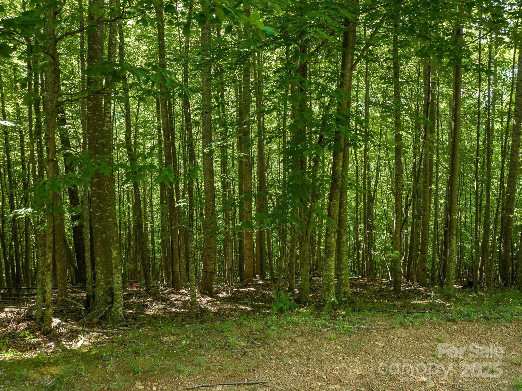 1157 Standing Deer Trace 128 Property Photo 14