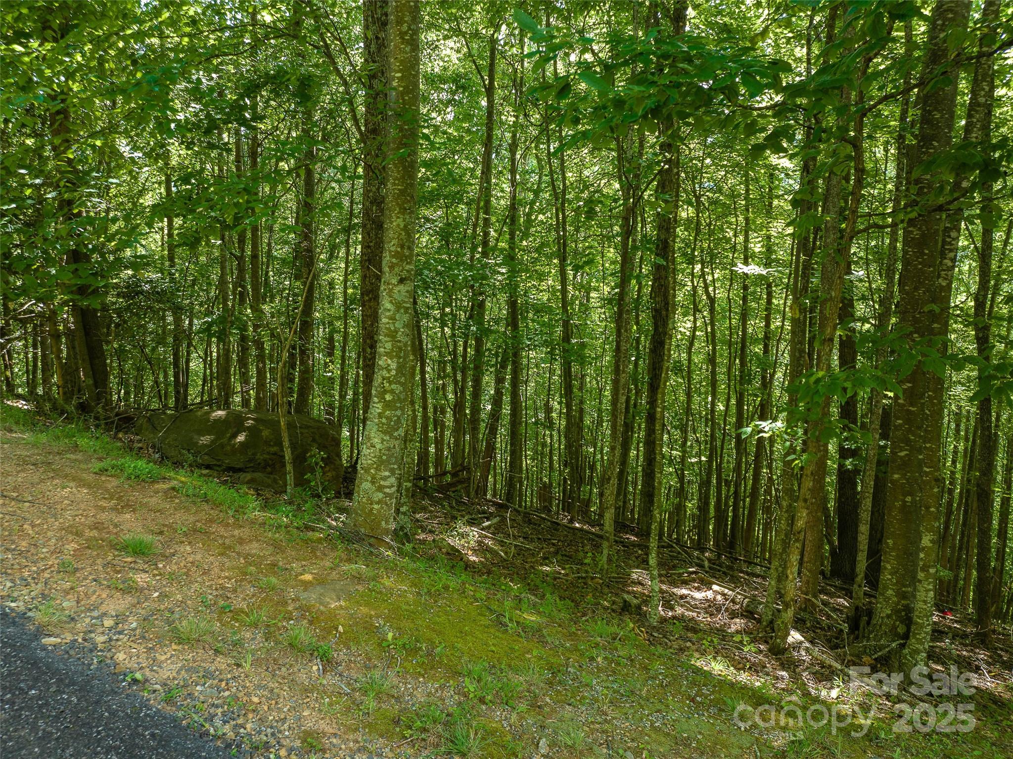 1157 Standing Deer Trace 128 Property Photo 15