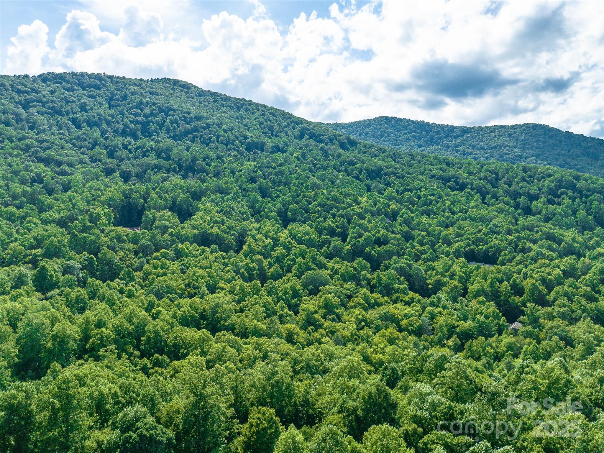 1157 Standing Deer Trace 128 Property Photo 20