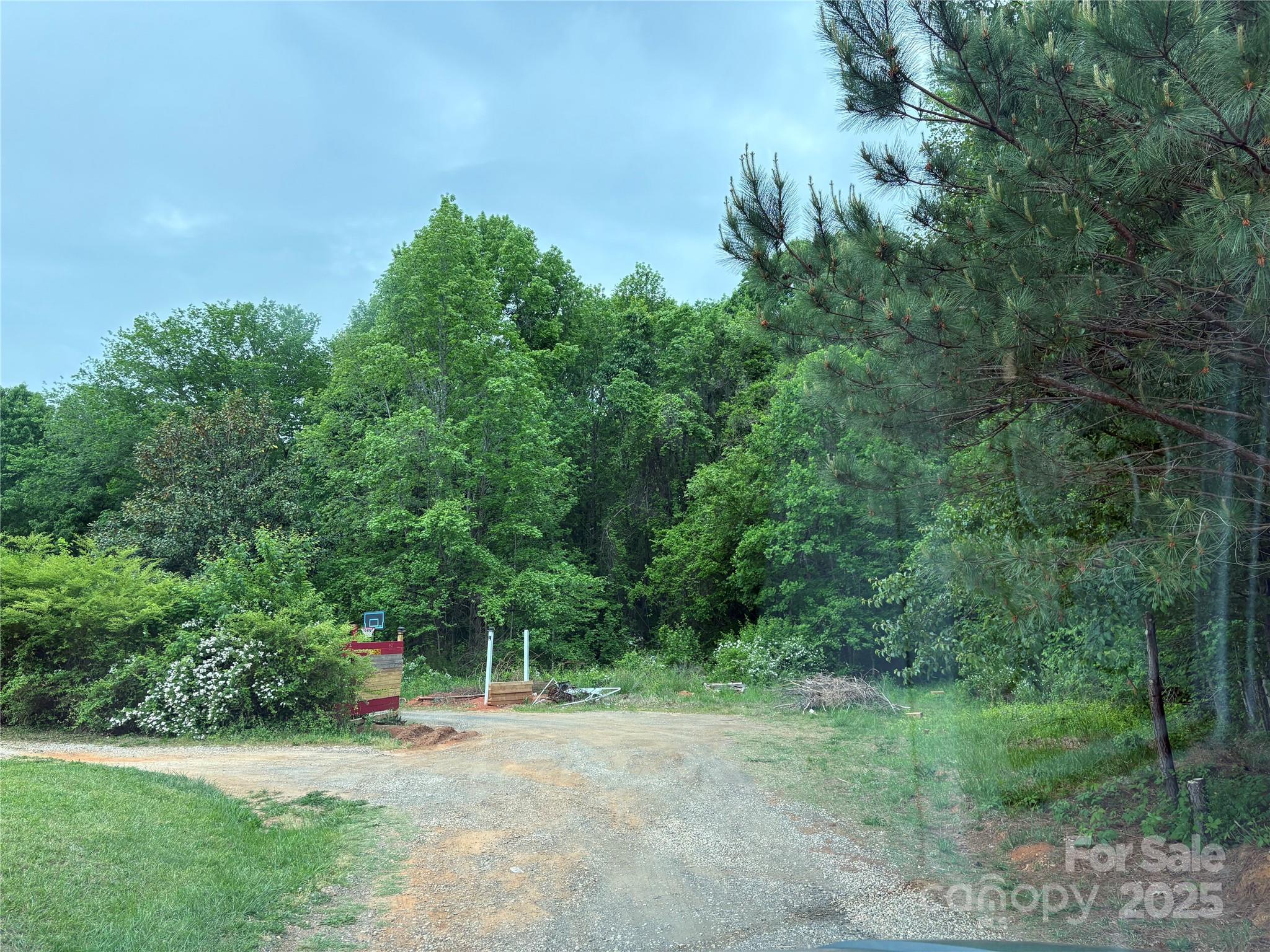 17022 Oak Breeze Circle Property Photo 2