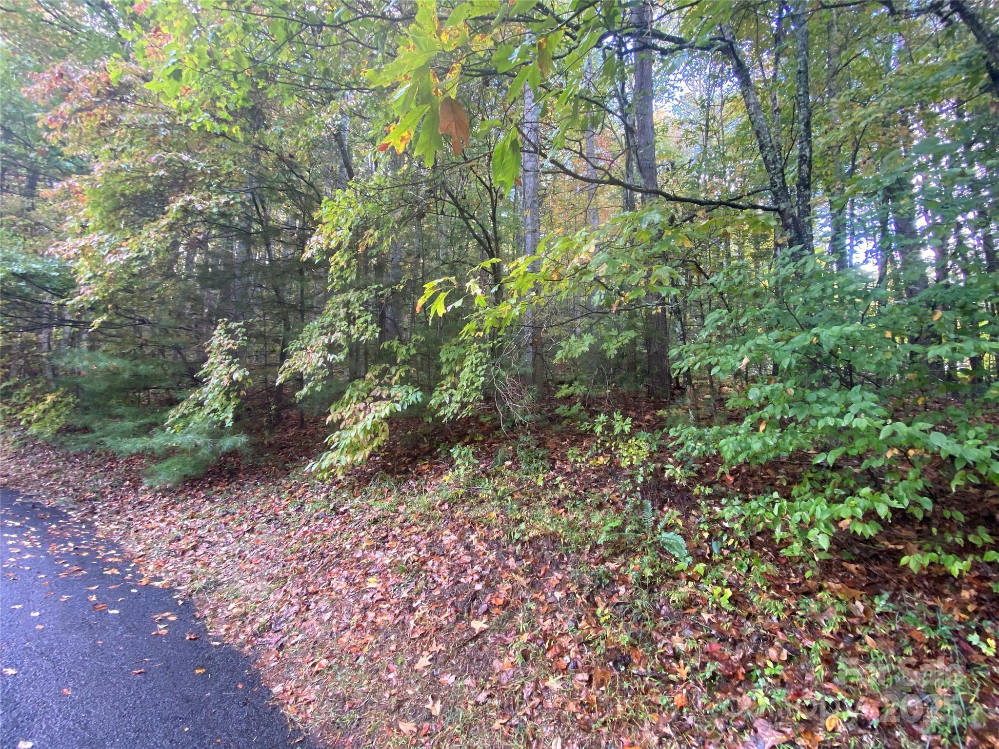 98 Oak Gate Drive Lot 36 And Block H Property Photo 4