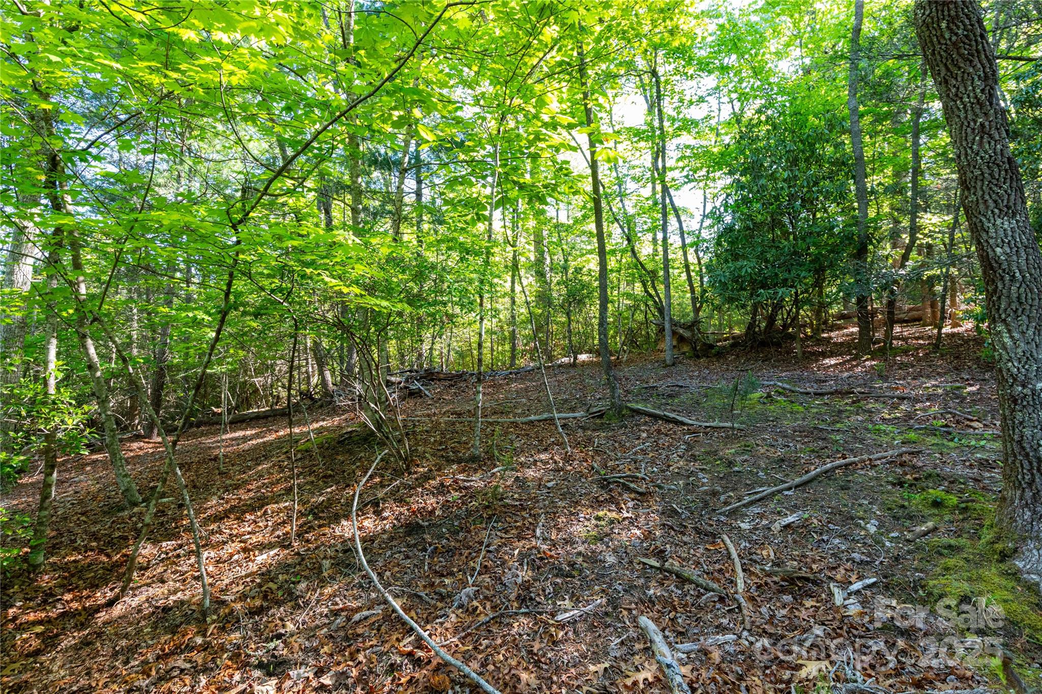76 Drovers Lane Property Photo 1
