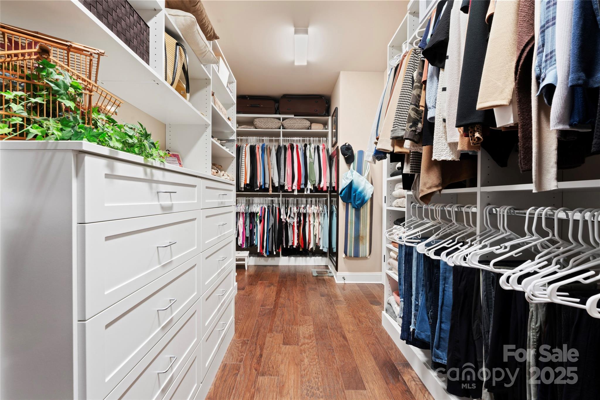 6010 Albiza Drive Property Photo 20