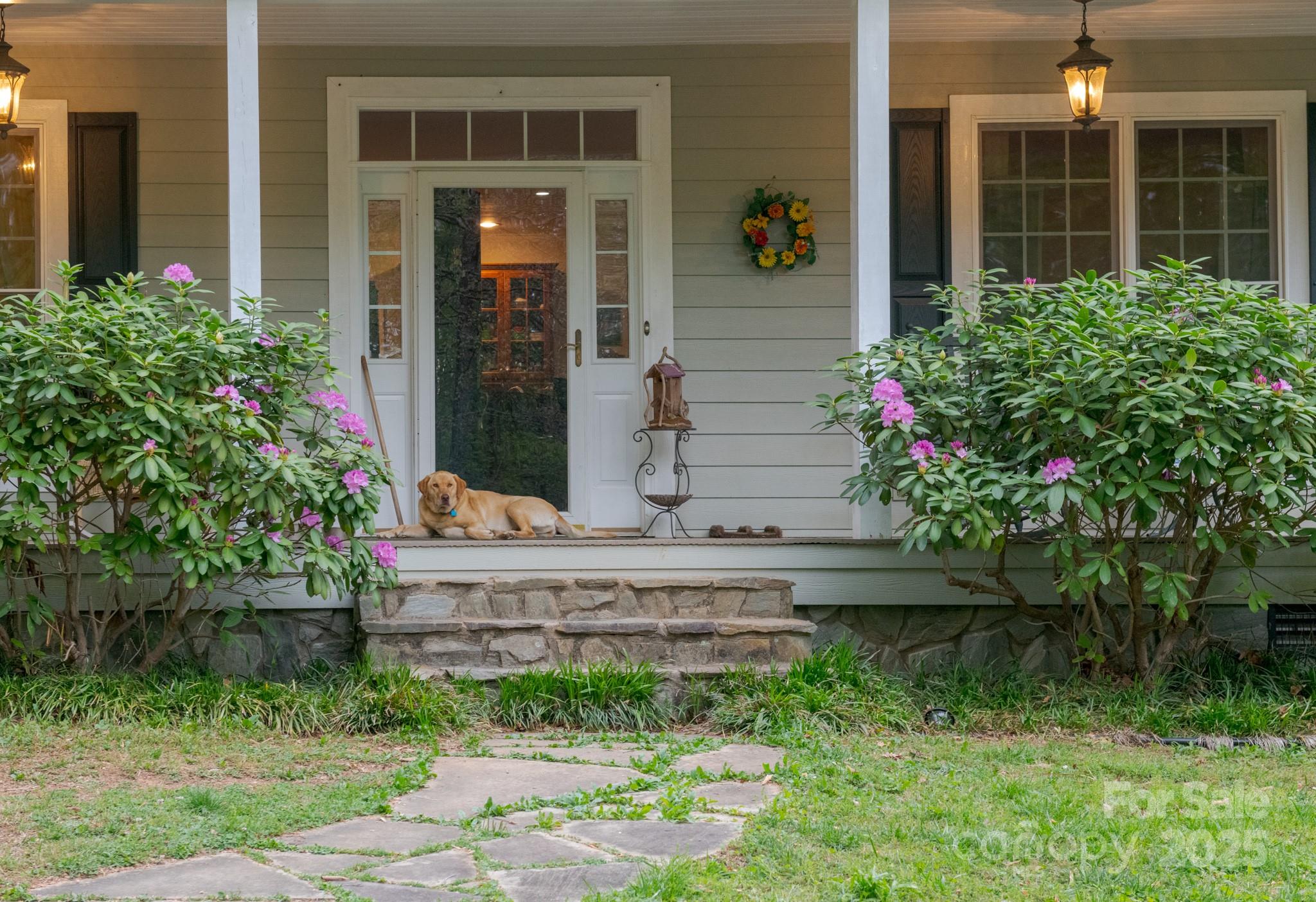 4398 Mud Puddle Lane Property Photo 6