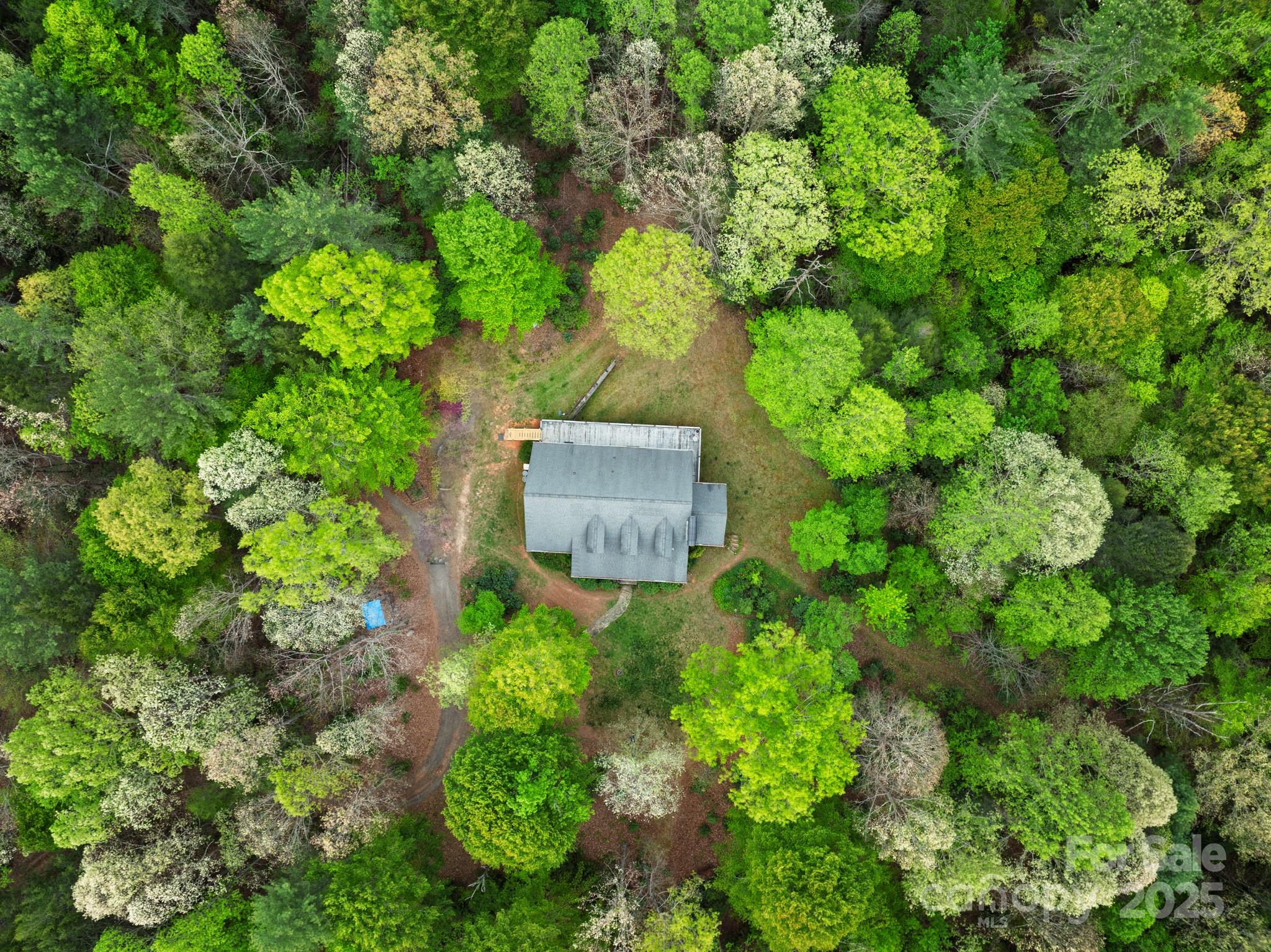 4398 Mud Puddle Lane Property Photo 12