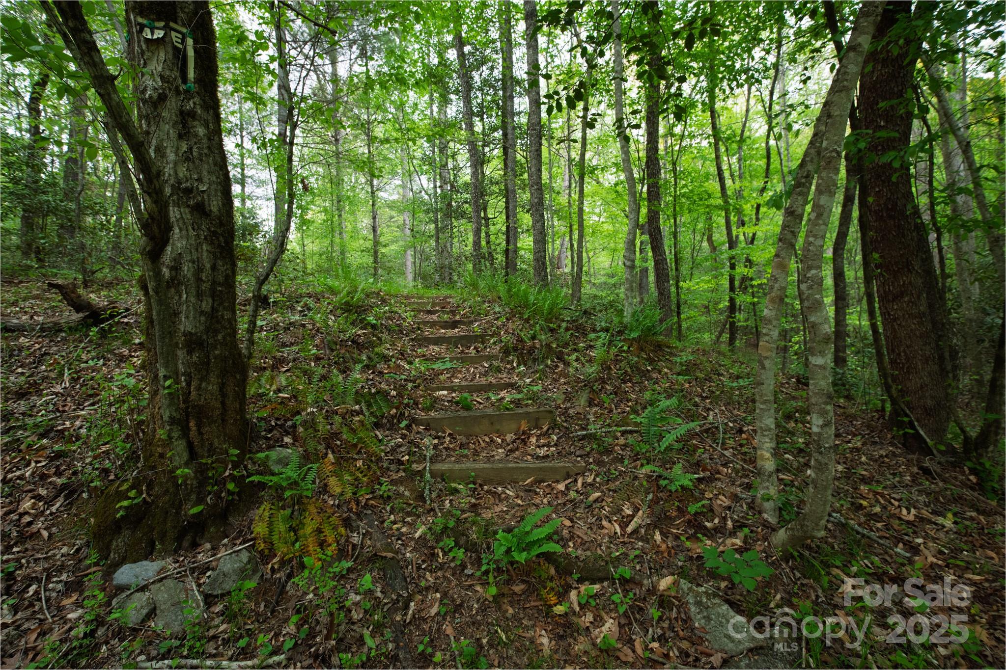4398 Mud Puddle Lane Property Photo 35