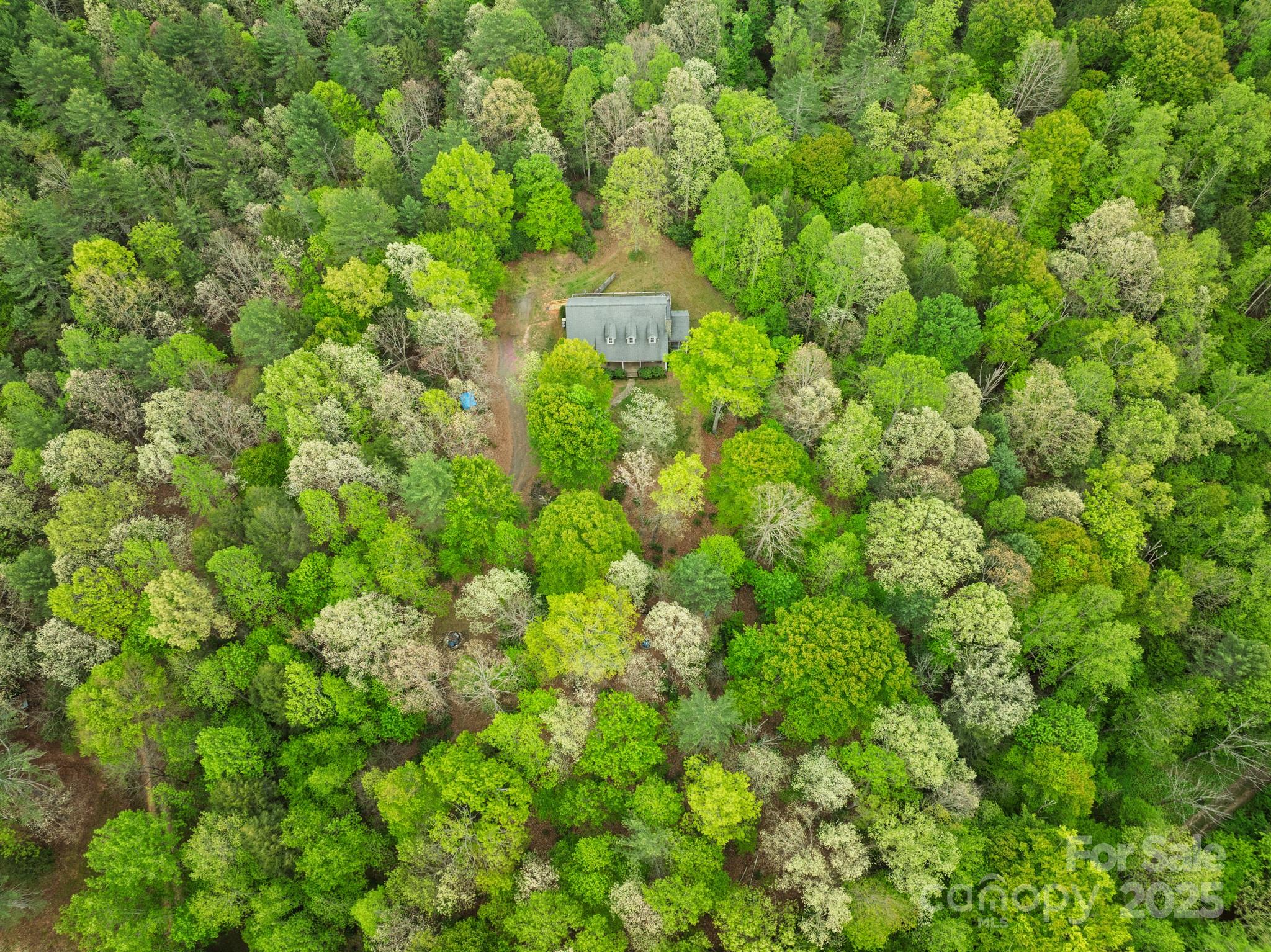 4398 Mud Puddle Lane Property Photo 37