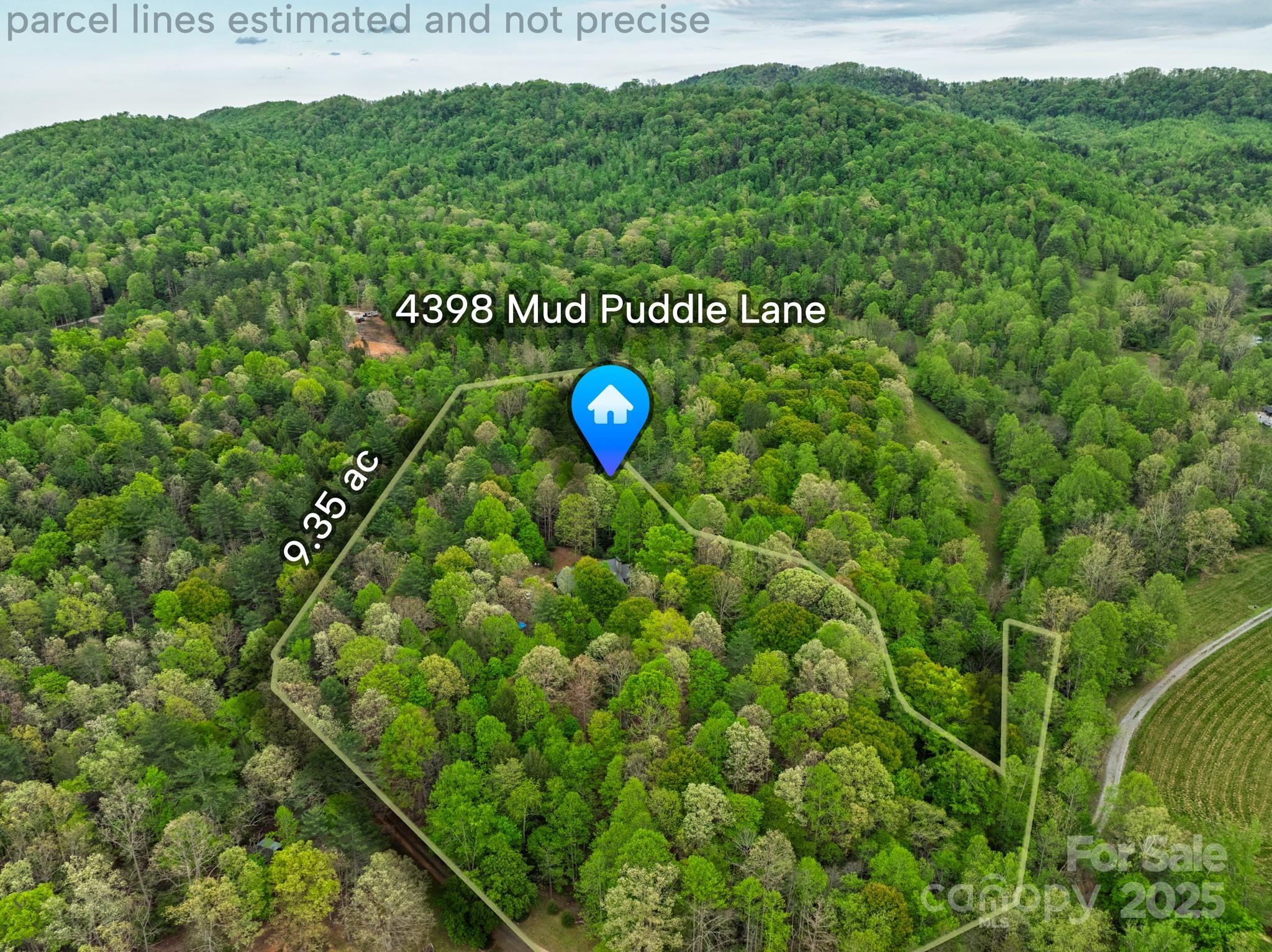 4398 Mud Puddle Lane Property Photo 38