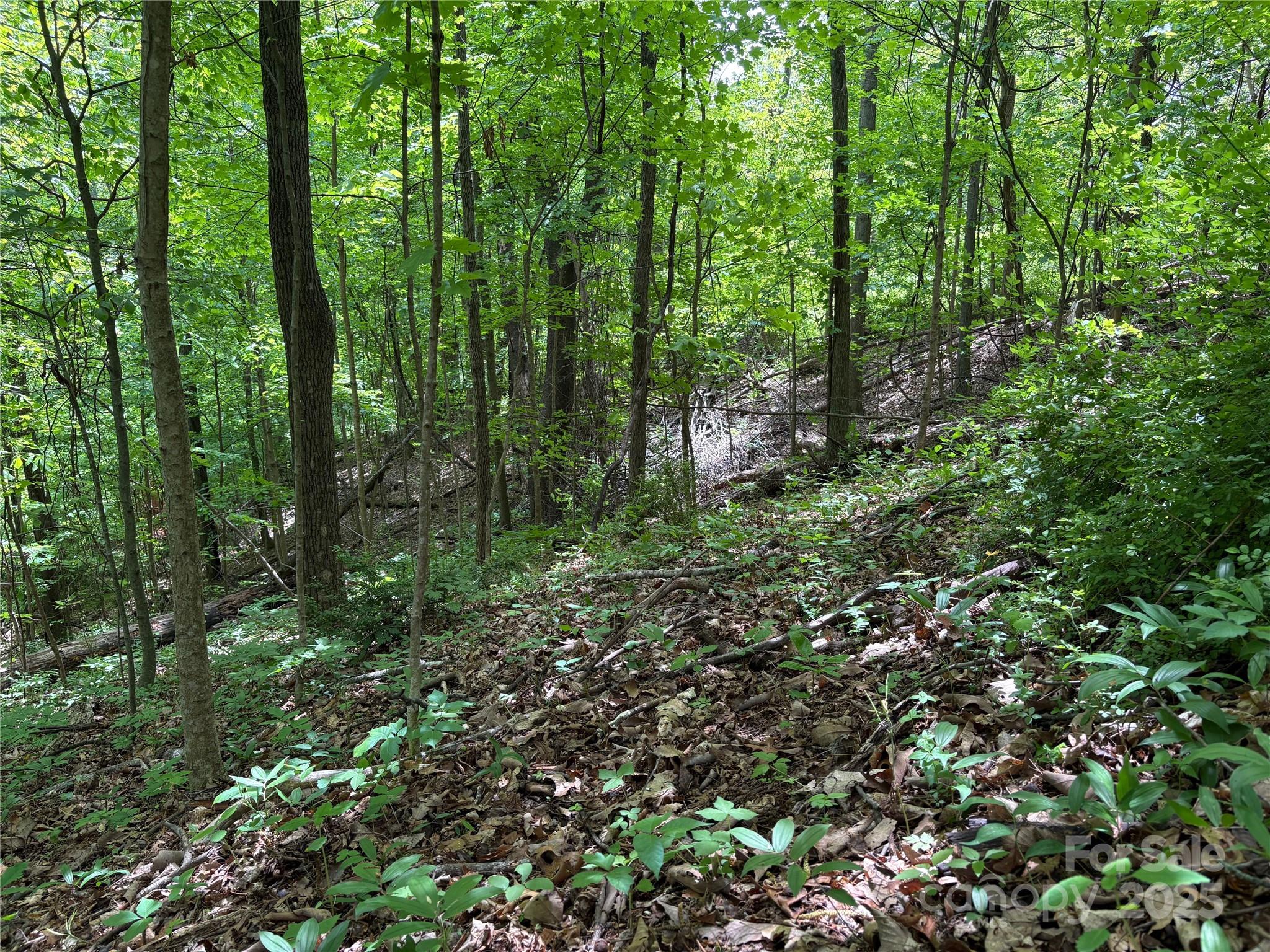 Tbd Adams Street 1 Property Photo 1
