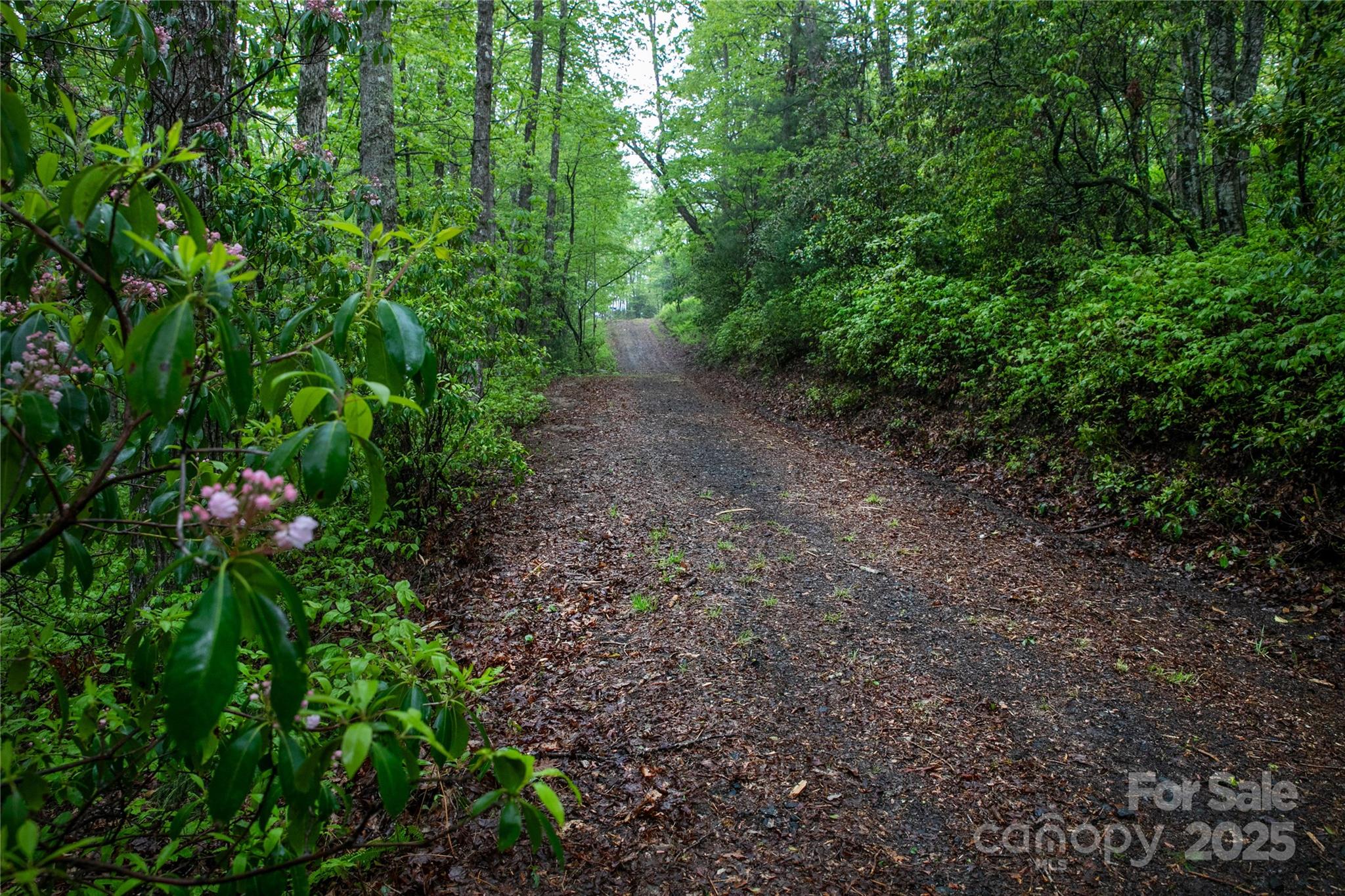 Lot 45 Big Branch Road 45 Property Photo 3