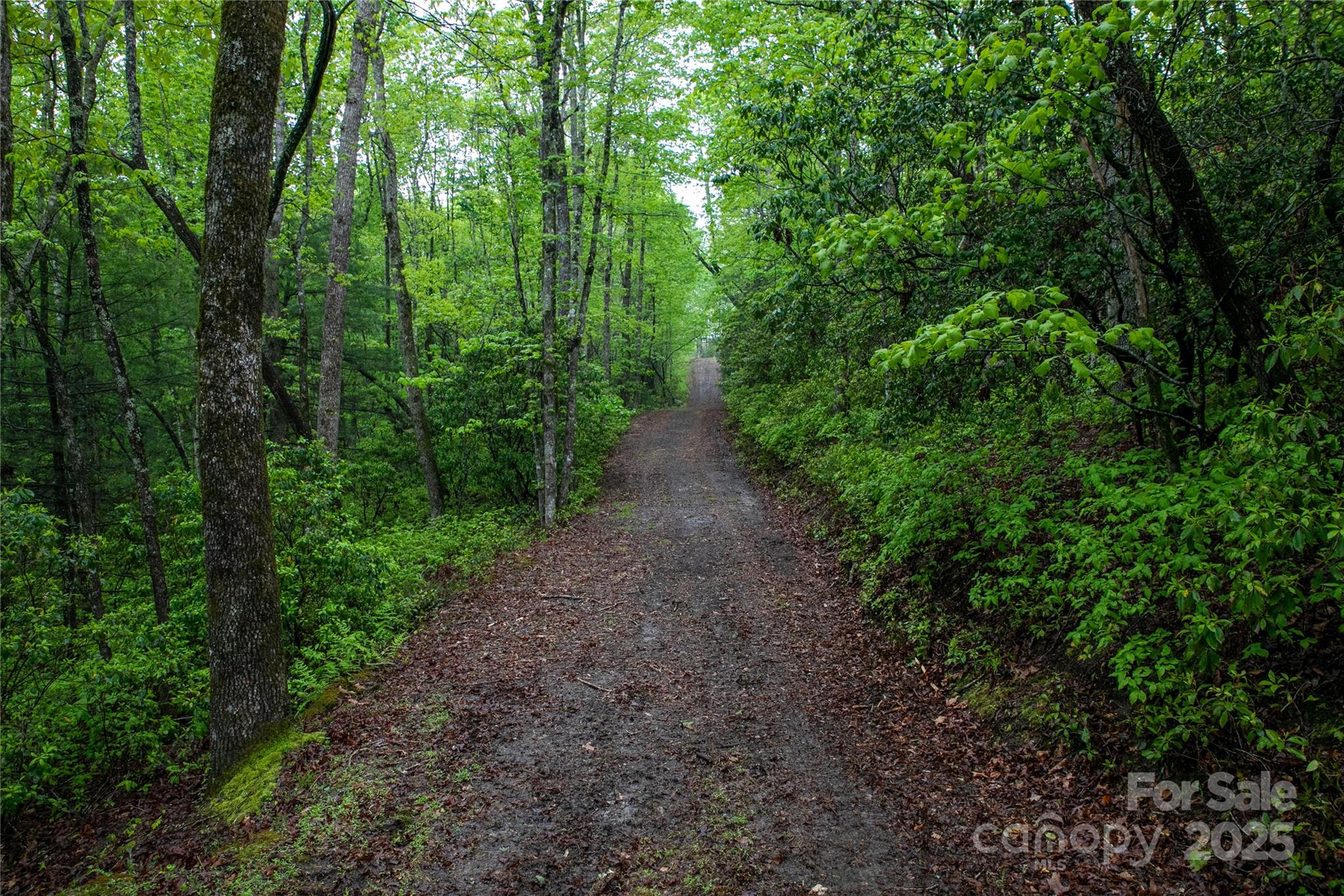 Lot 45 Big Branch Road 45 Property Photo 6