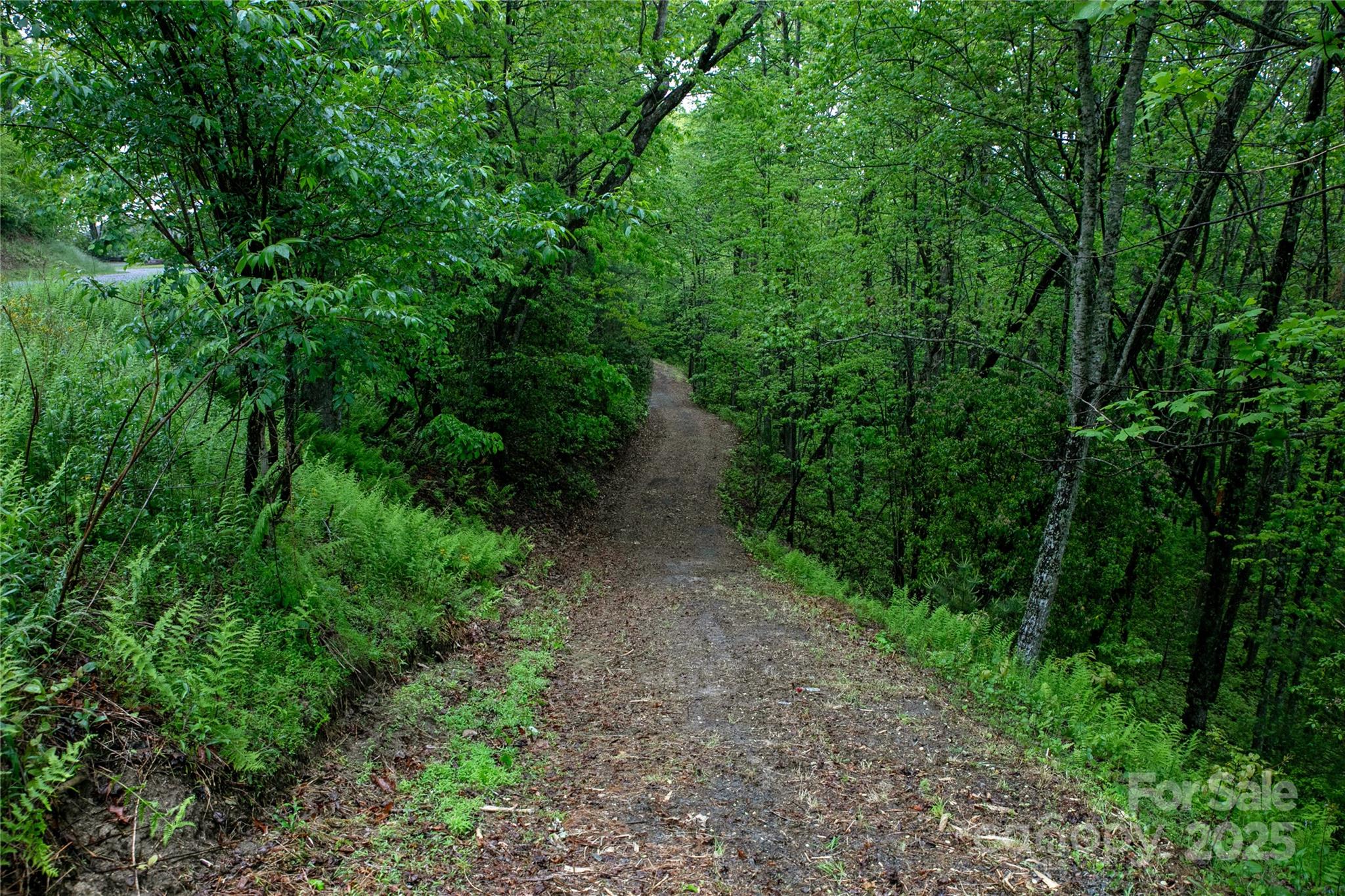 Lot 45 Big Branch Road 45 Property Photo 12