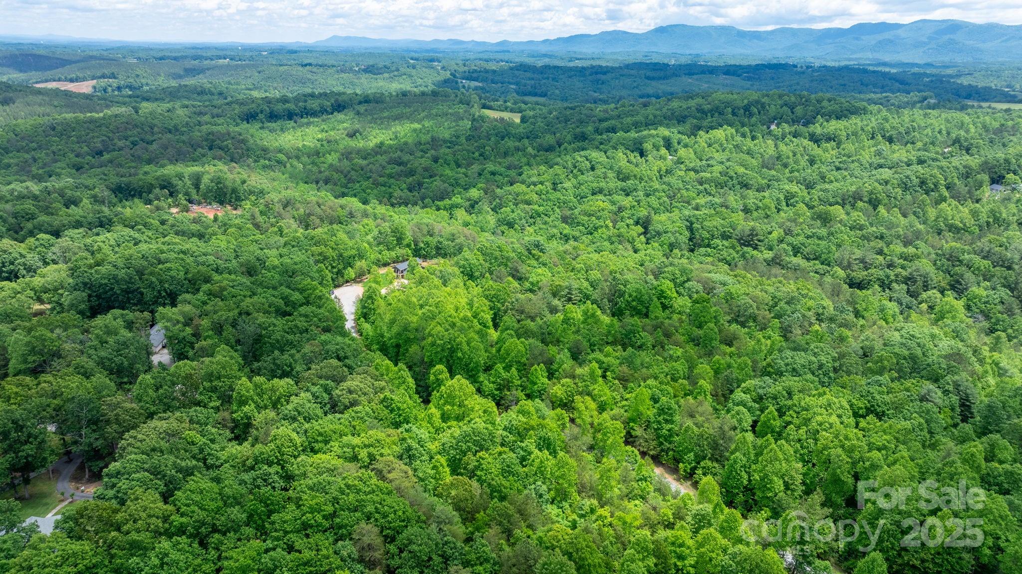 Tbd Darrow Drive 95 Property Photo 2