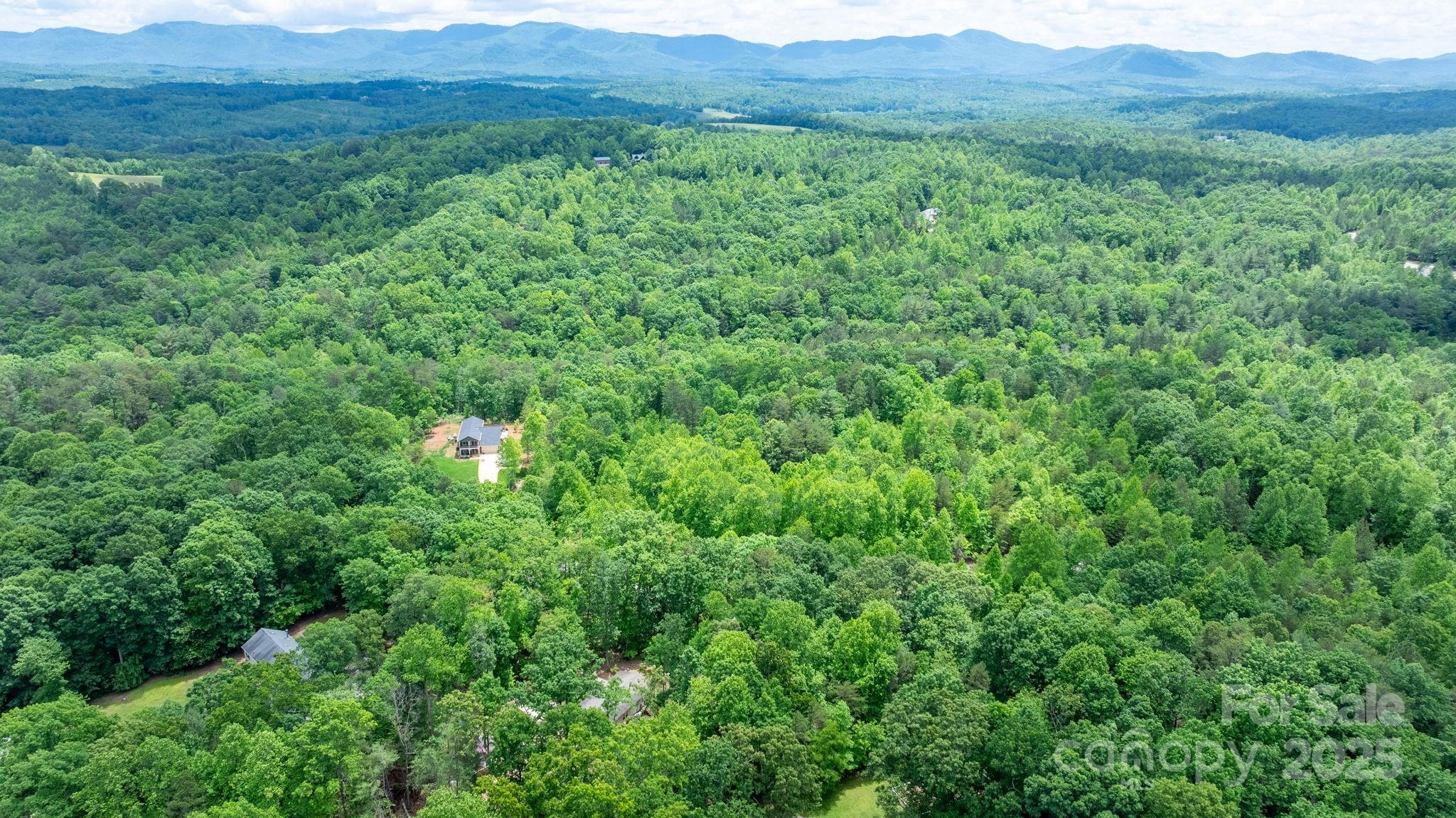 Tbd Darrow Drive 95 Property Photo 3