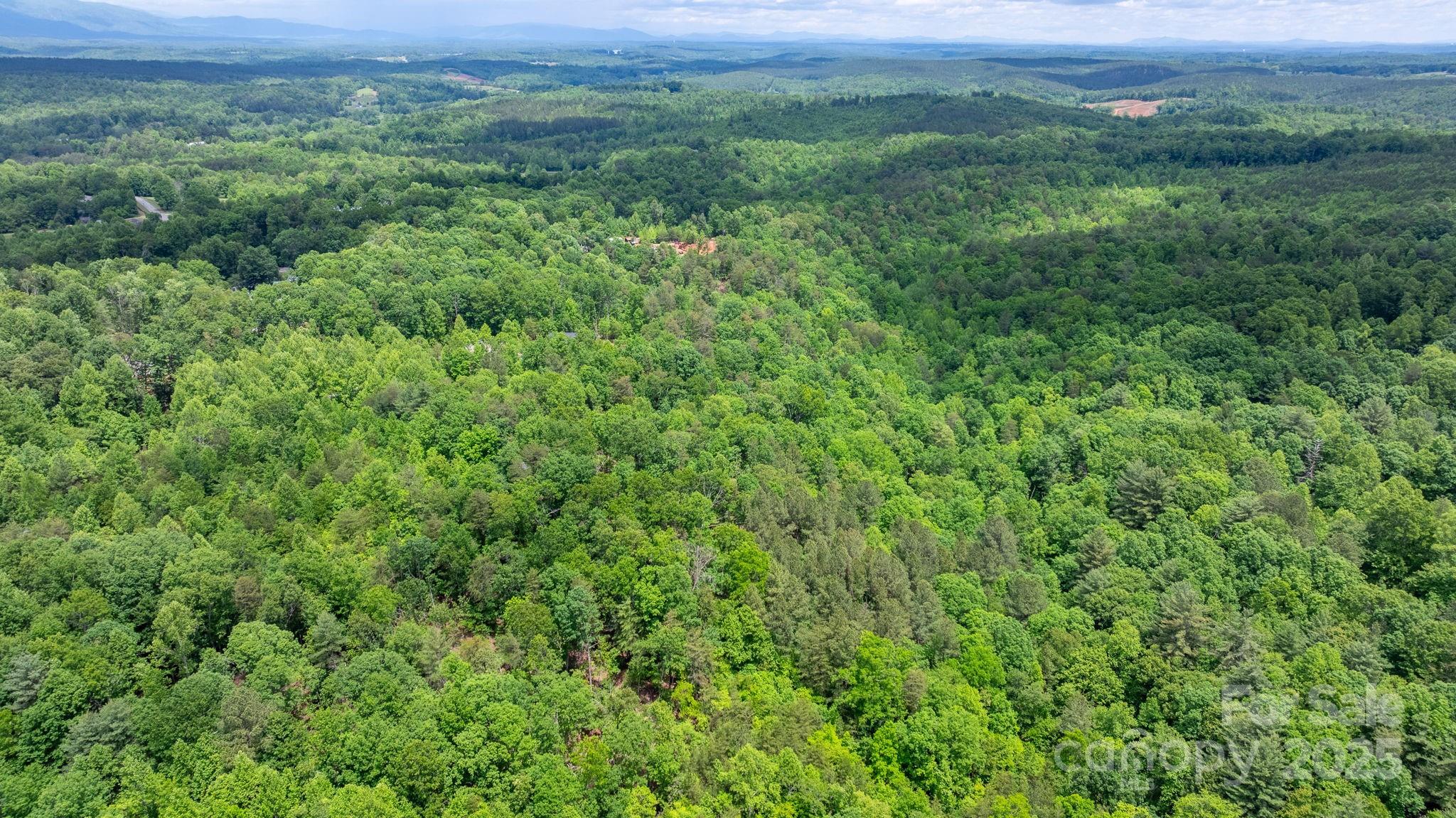 Tbd Darrow Drive 95 Property Photo 6